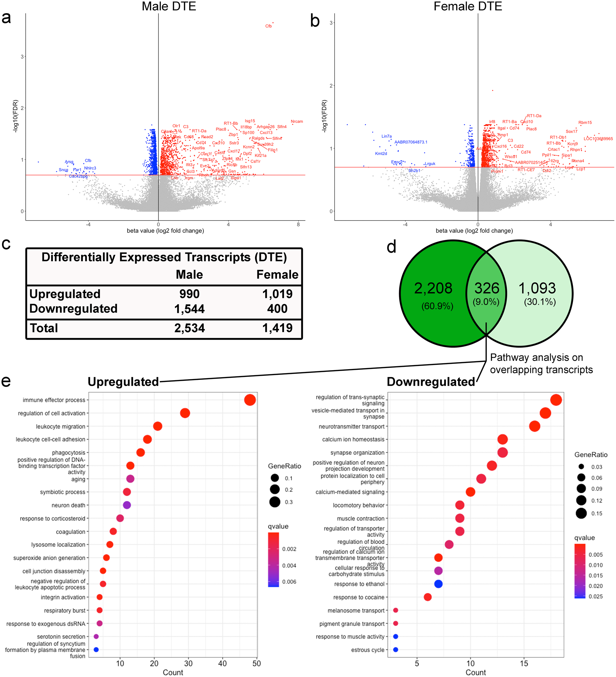 Fig. 2: Differential transcript expression (DTE) analysis results.