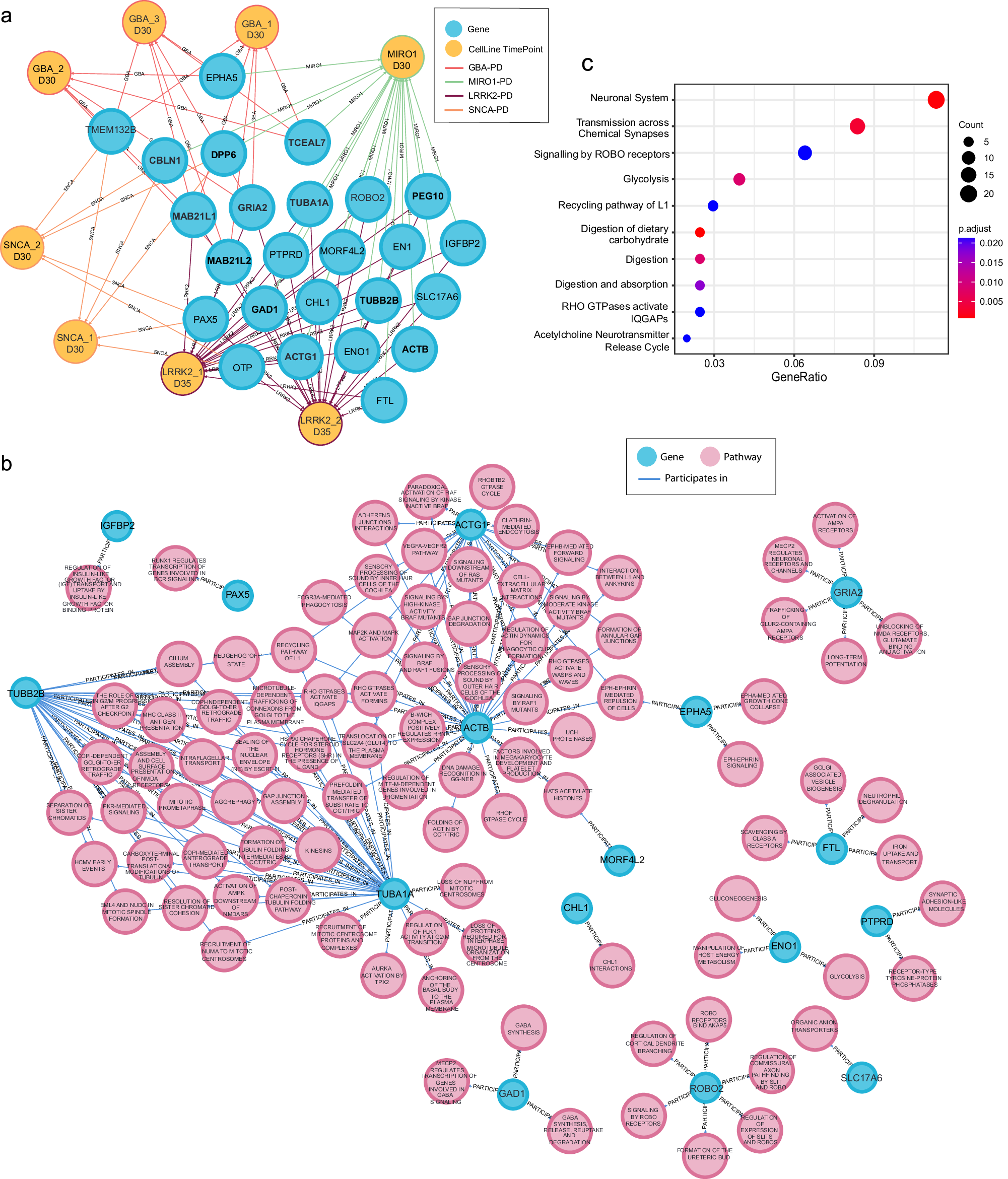 Fig. 2: In silico analysis reveals shared genes and pathways between monogenic PD datasets.