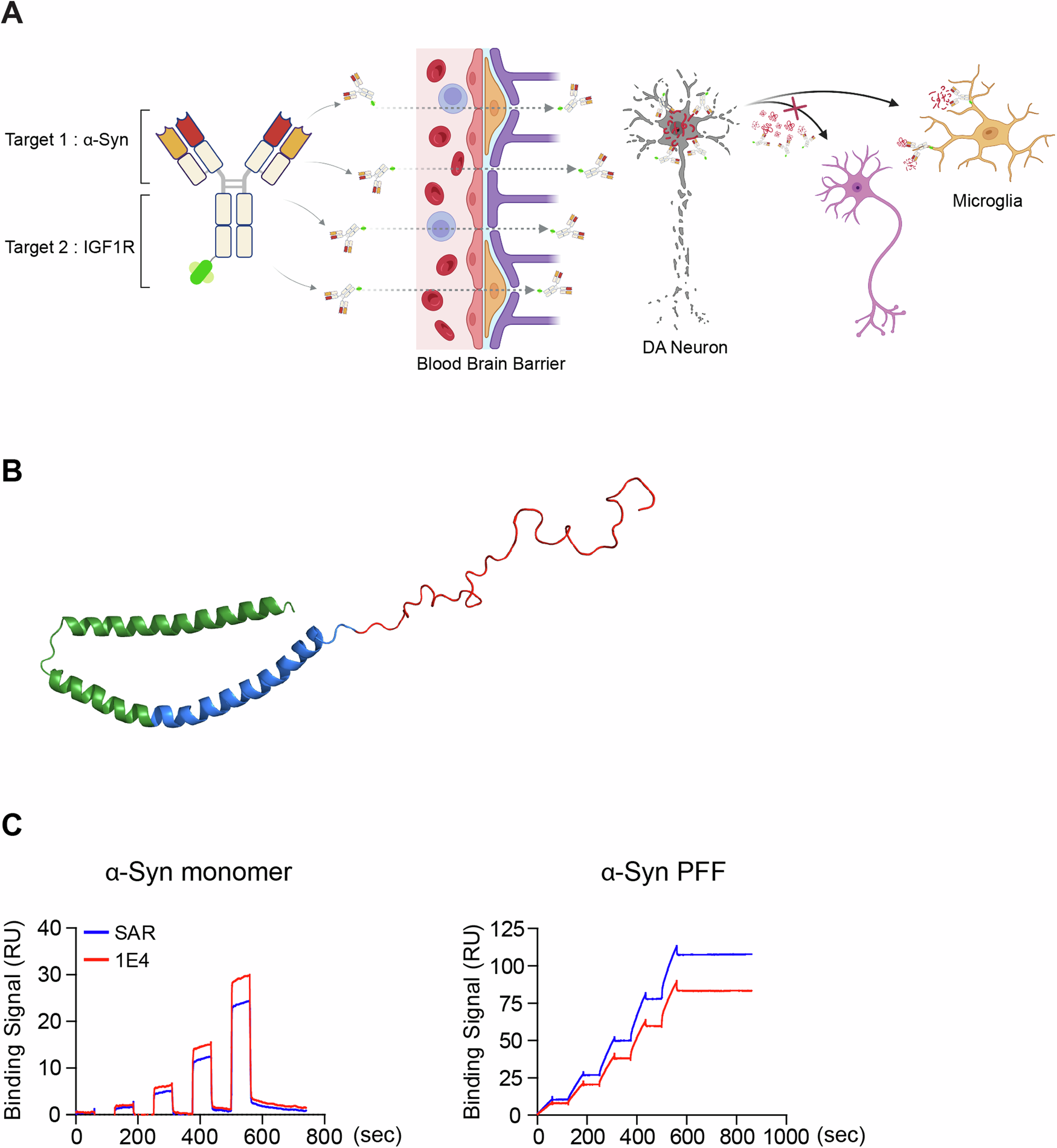 Fig. 1: Characteristics of SAR446159.