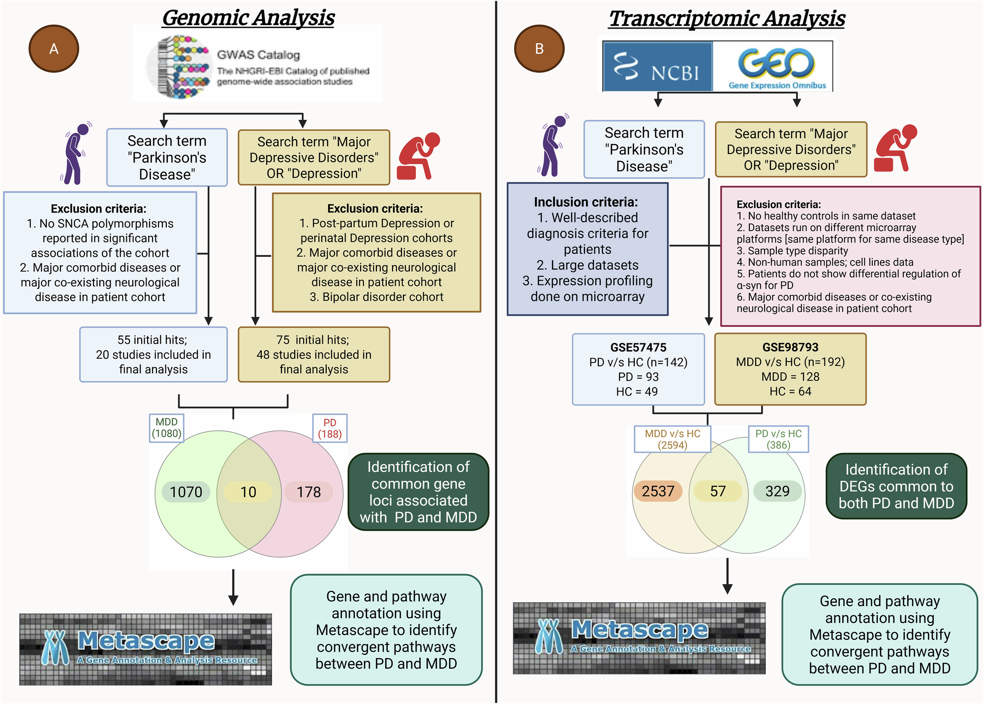 Fig. 5: Workflow describing the secondary analysis of publicly available genomic and transcriptomic datasets to deduce pathways and genes associated with aberrant α-syn in PD that are also shared with MDD and thus may potentially contribute to PDD or exacerbation of PD.