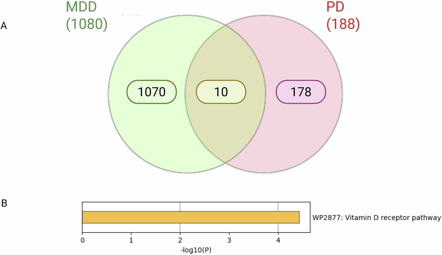 Fig. 6: Shared genetic loci between PD patients with α-syn polymorphisms and patients with MDD.