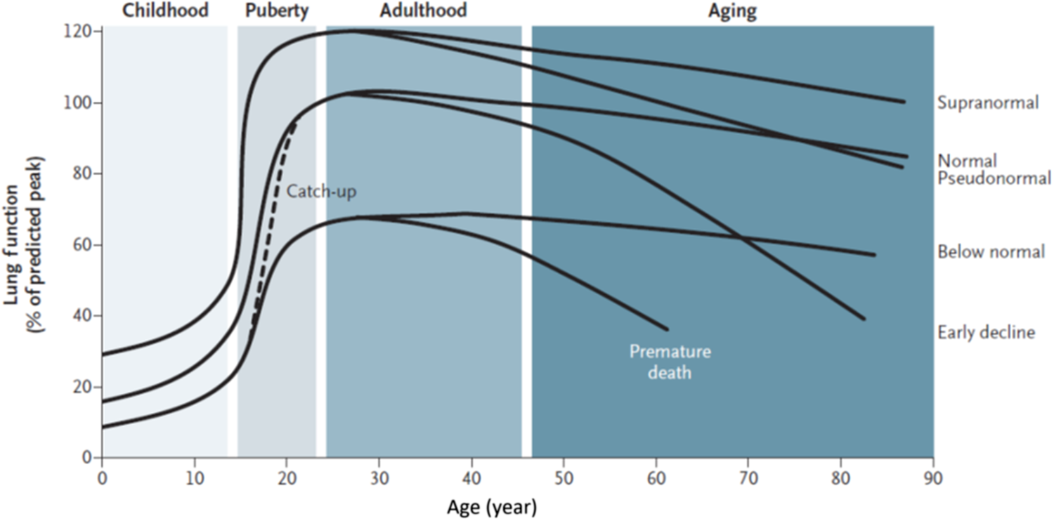 Fig. 1: Range of lung function trajectories through the lifetime.