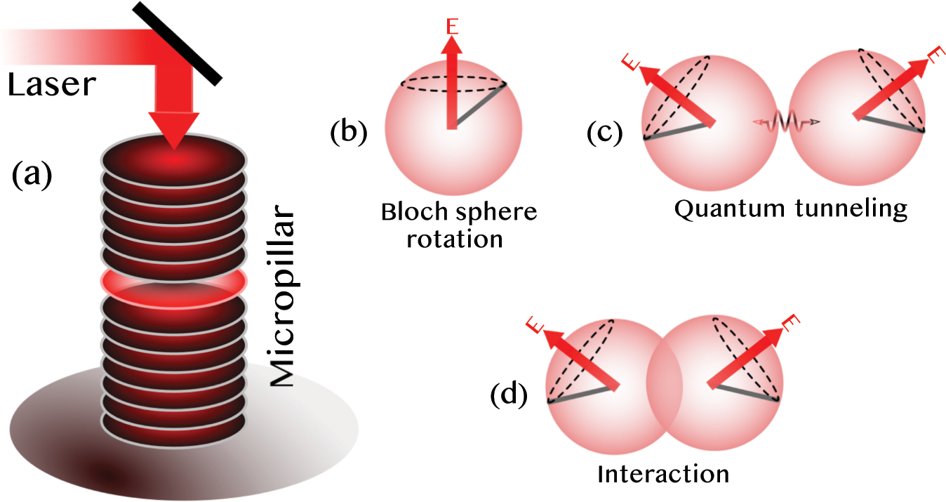 Quantum computing with exciton-polariton condensates | npj Quantum  Information