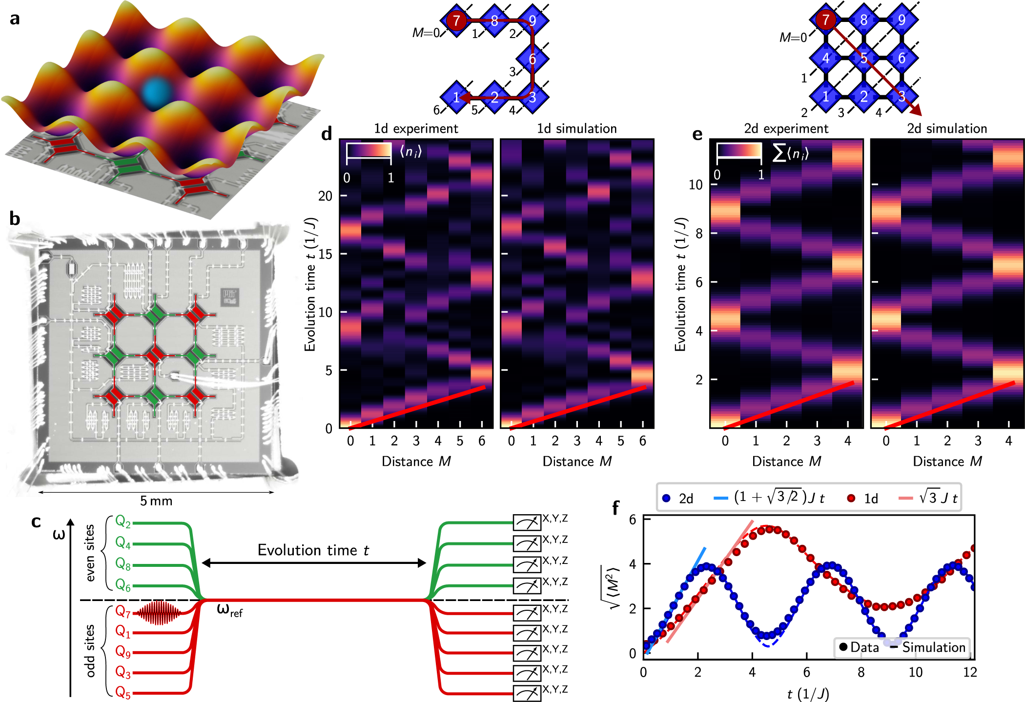 Quantum Transport And Localization In 1d And 2d Tight Binding Lattices Npj Quantum Information