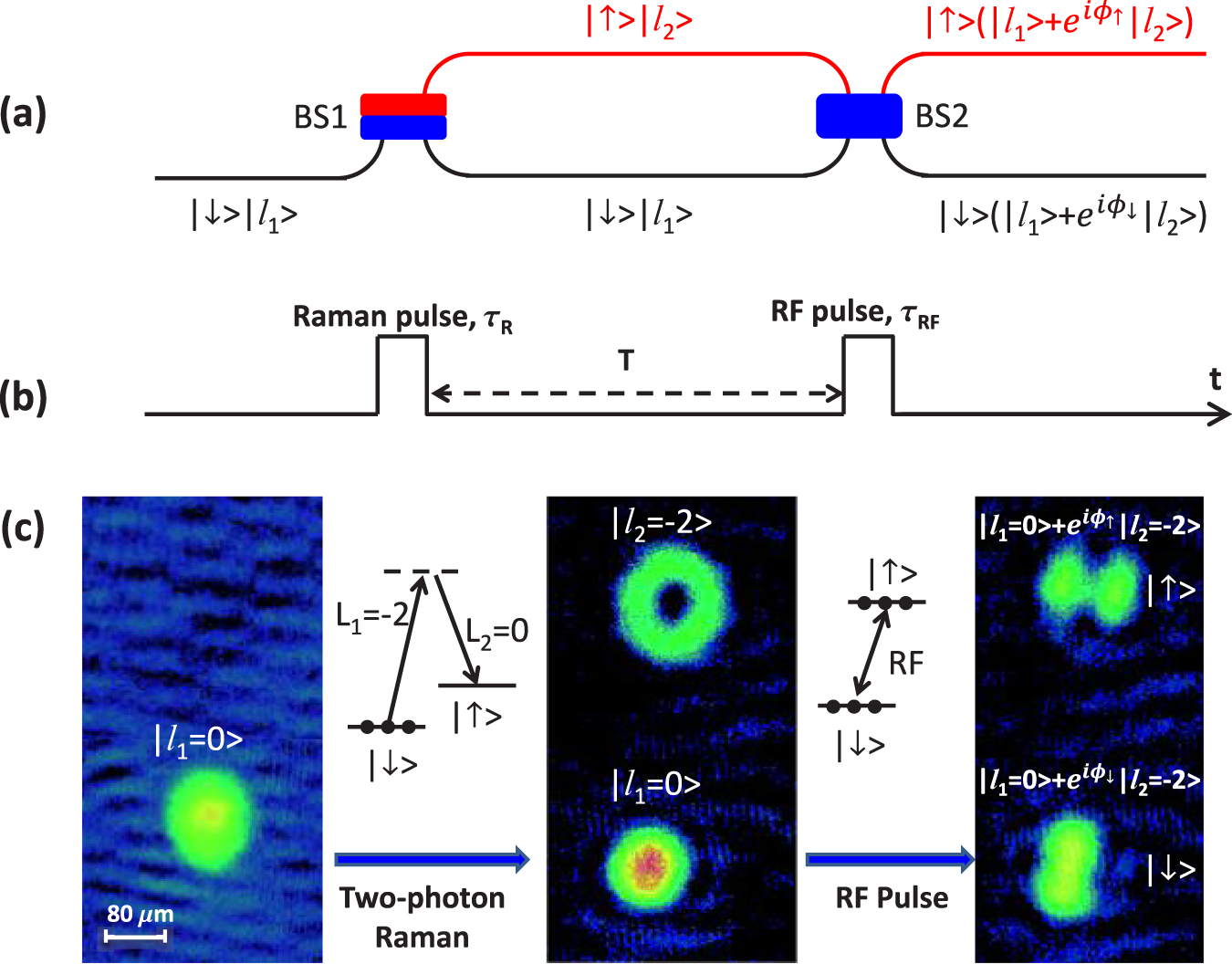 The difference between the AC loss obtained for UUUU and LLLL coil