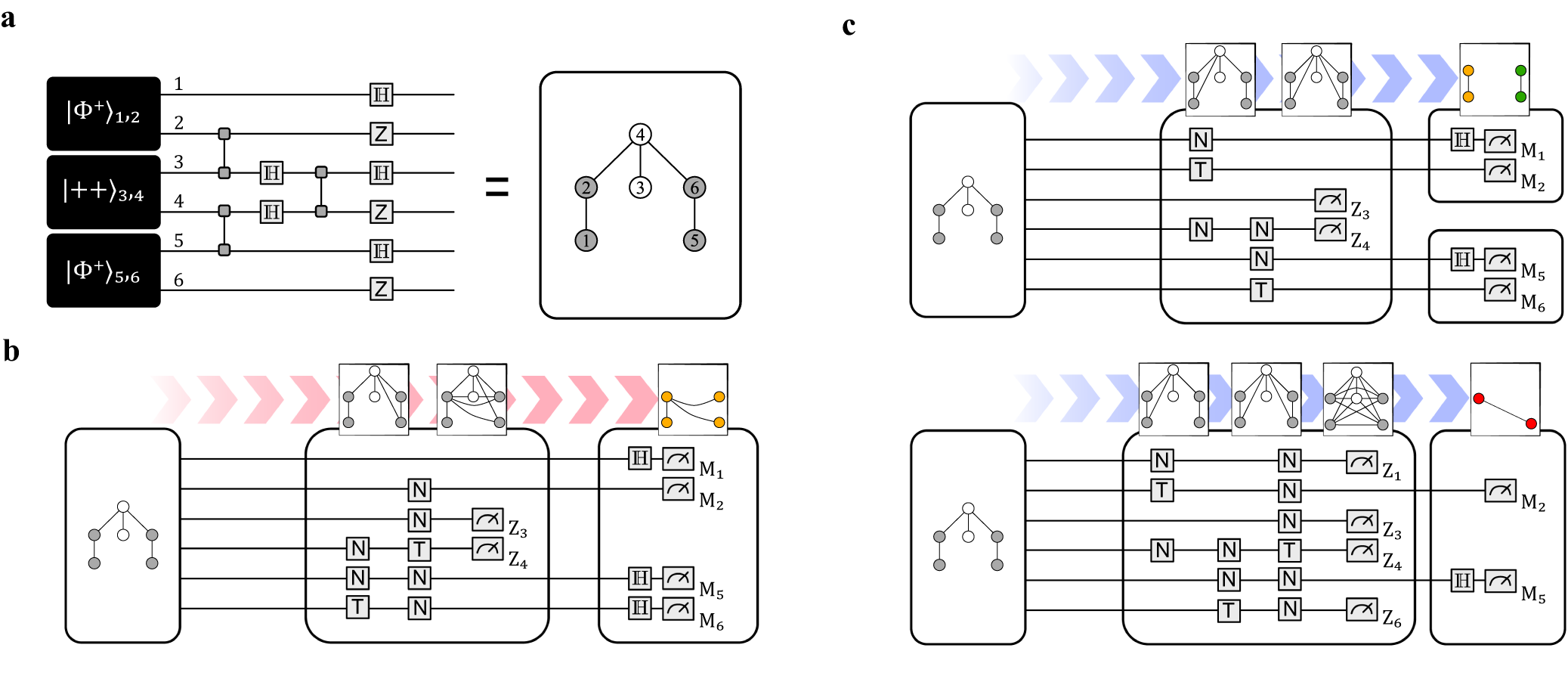 Fig. 2: Experimentally generating and manipulating the six-photon graph state.