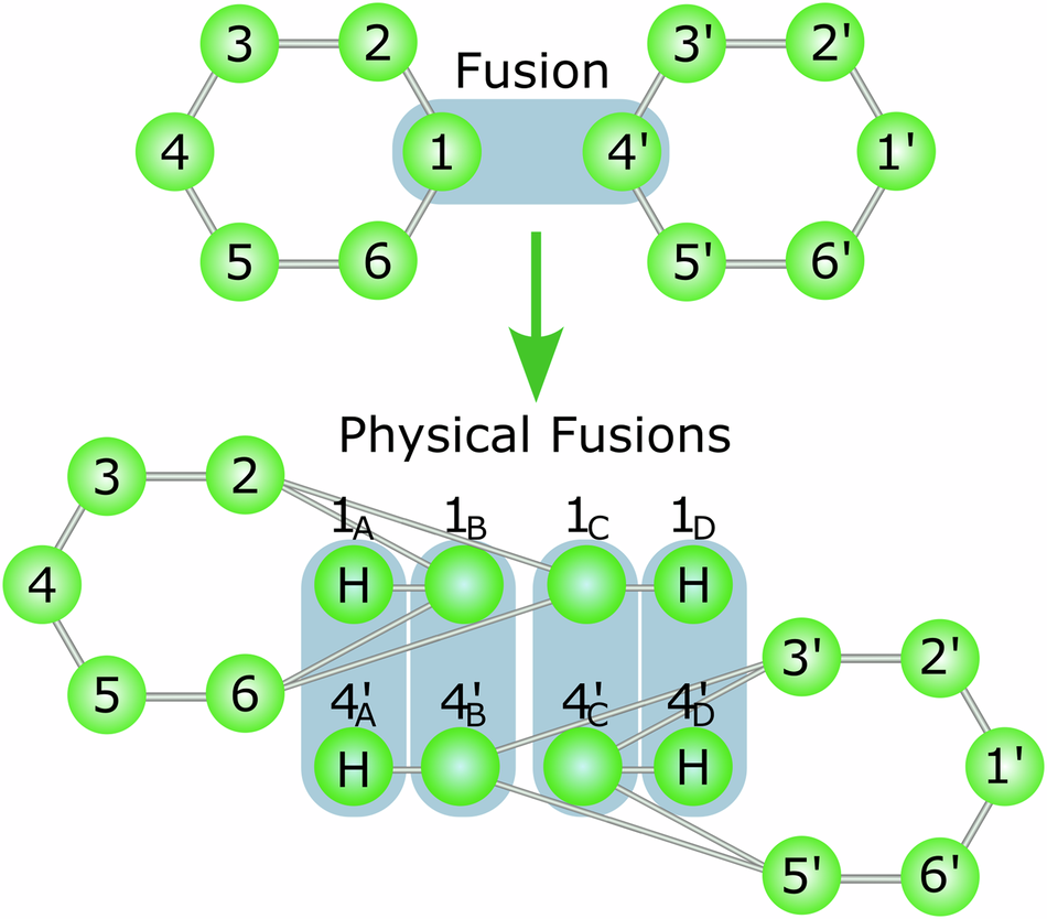Fig. 7: Encoded fusion (blue connection) between qubits (green circles) of two six-ring graph states.