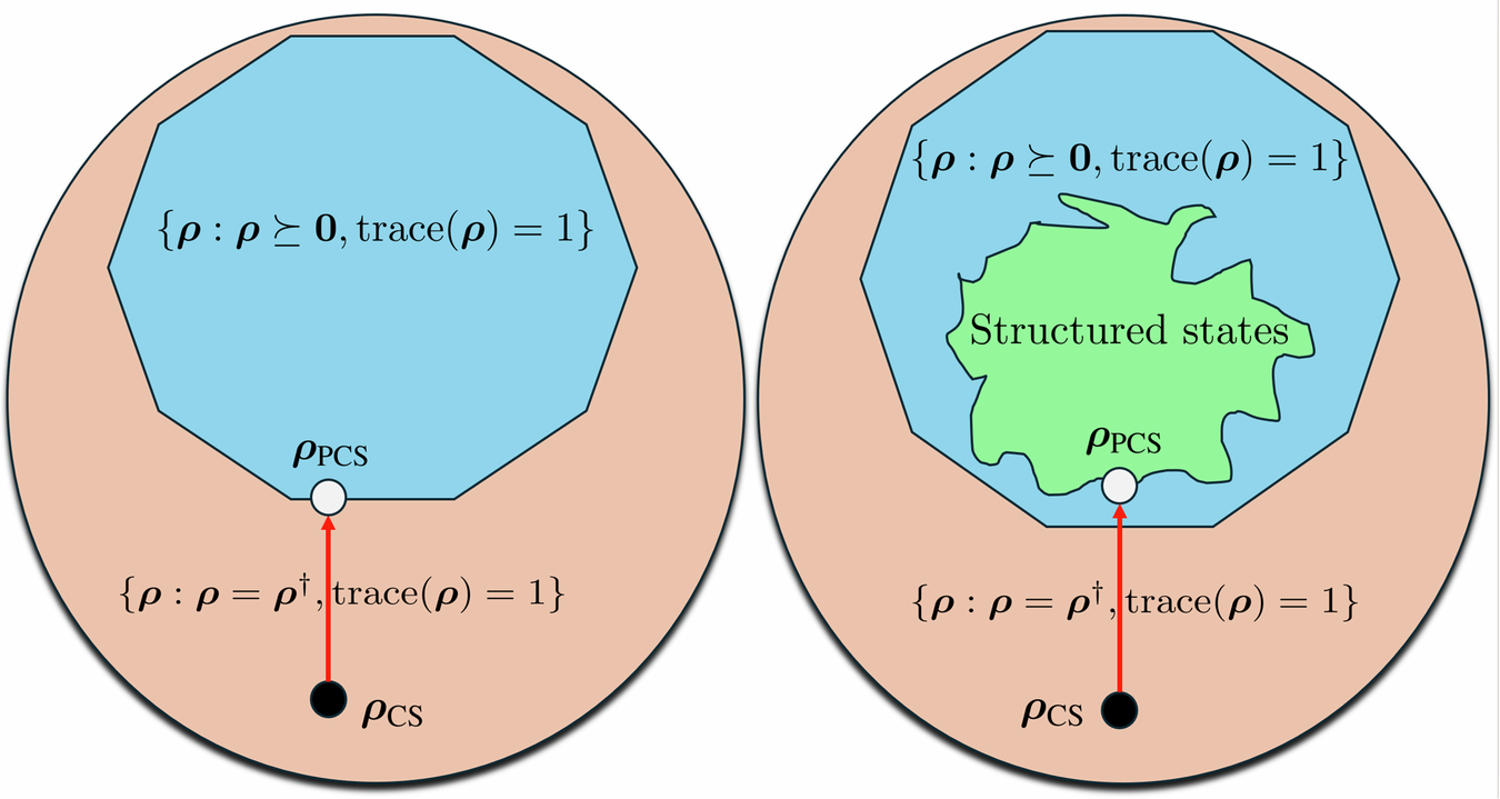 Enhancing quantum state reconstruction with structured classical shadows |  npj Quantum Information