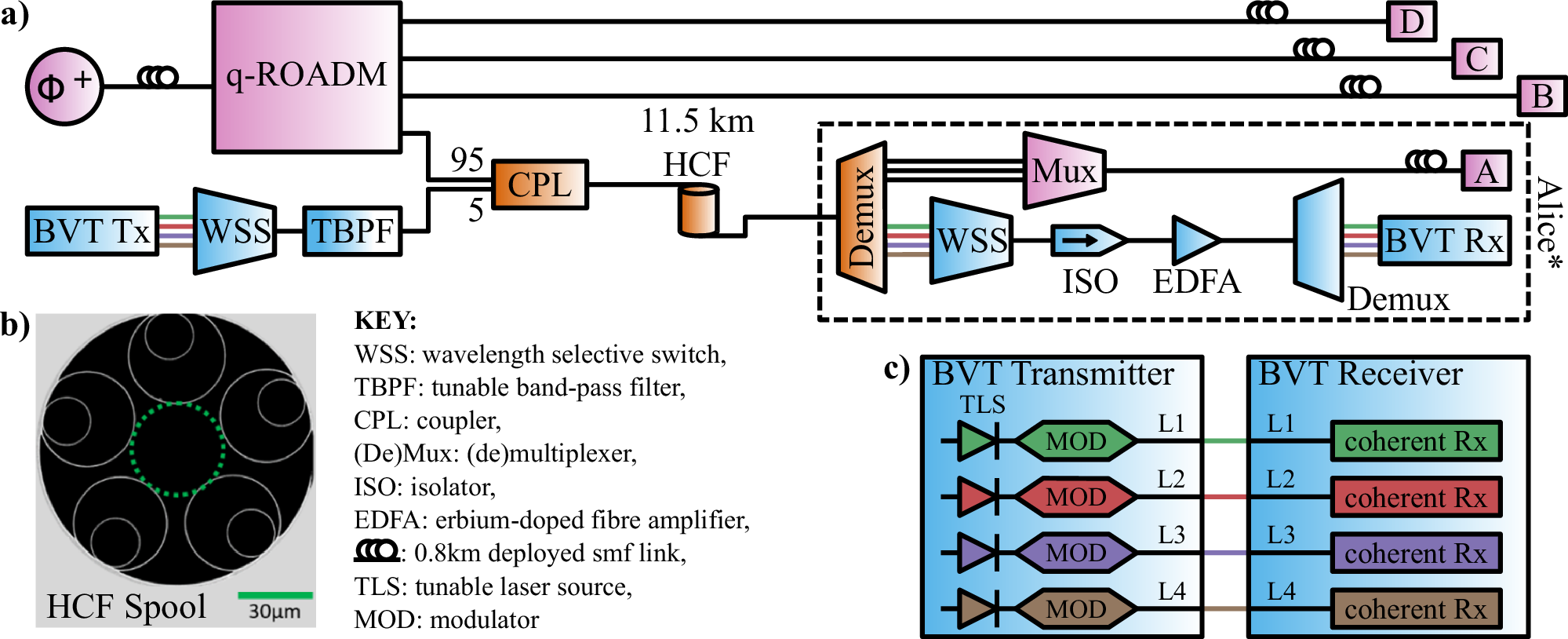 Fig. 1: Experimental testbed for quantum-classical coexistence in hollow core fibre.