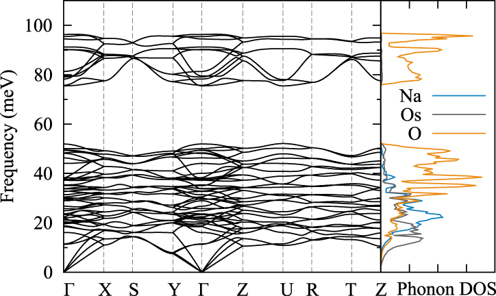 Fig. 5: Phonon band structure and its corresponding atomic-resolved DOS at ambient pressure.