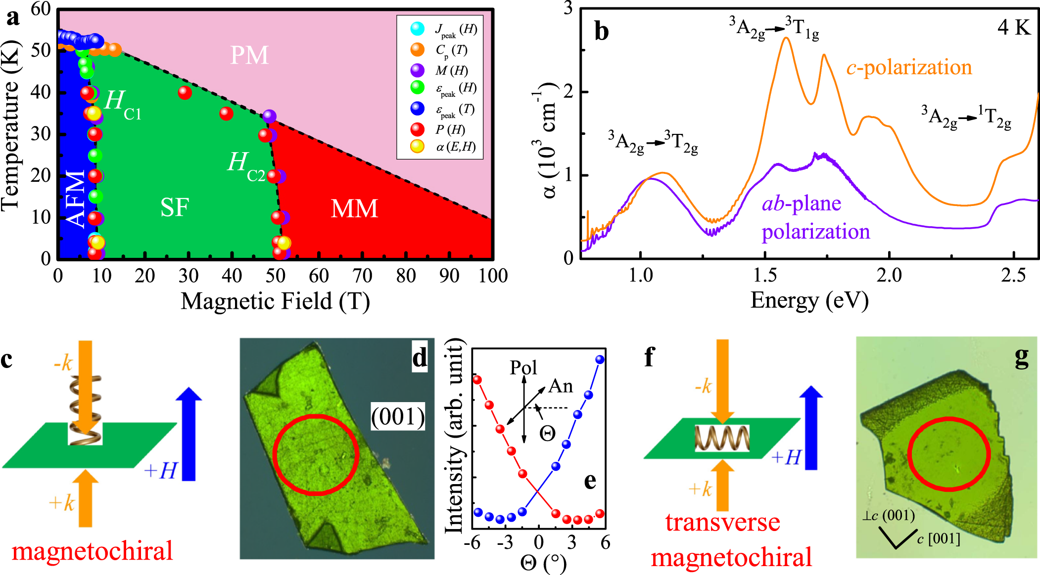 Nonreciprocal directional dichroism of a chiral magnet in the visible range  | npj Quantum Materials