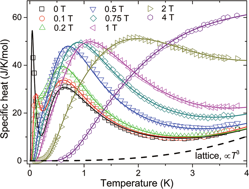 Low Temperature Spin Dynamics Of Ferromagnetic Molecular Ring Cr 8 Y 8 Npj Quantum Materials