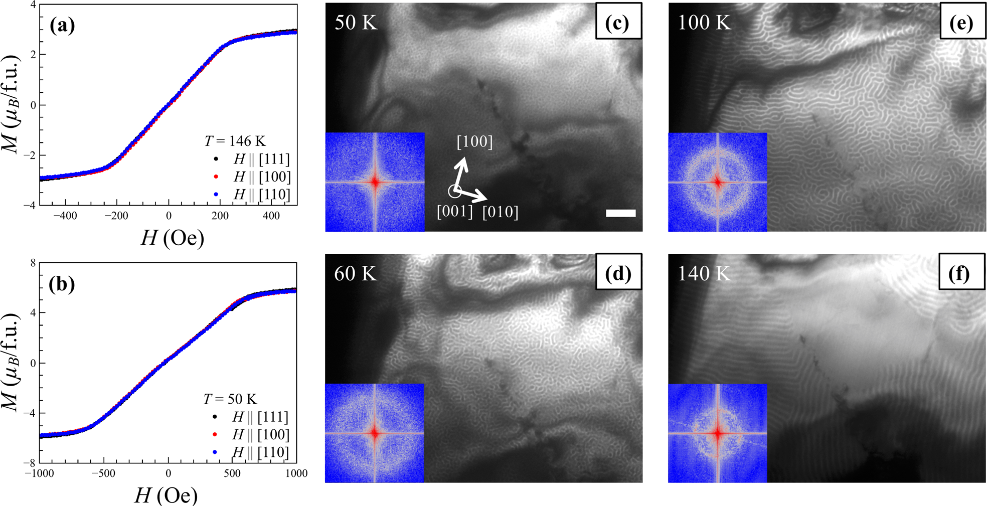 Fig. 4: Magnetization curves and Lorentz microscopy.