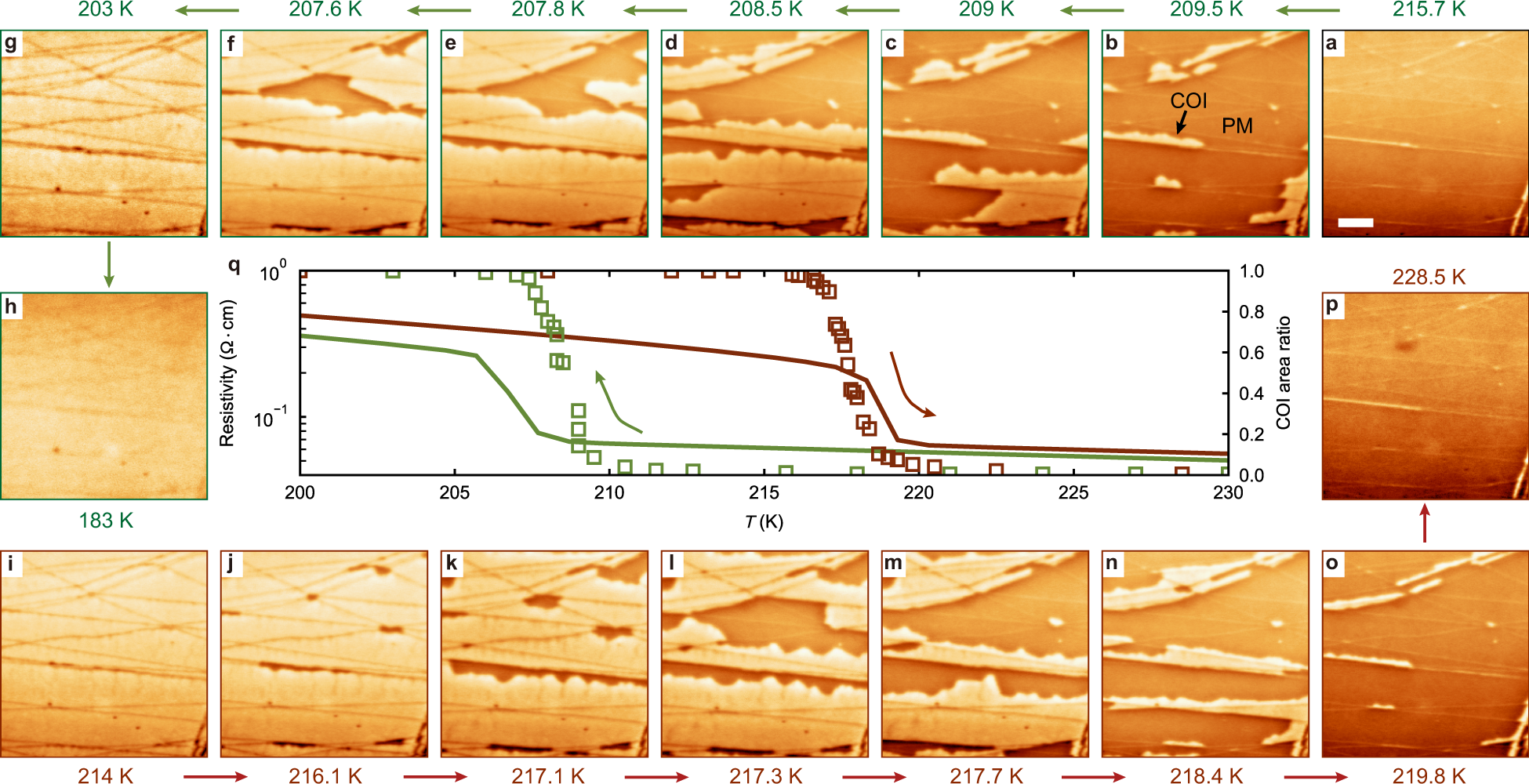 Fig. 2: Imaging the magnetic contrast at TCOI.
