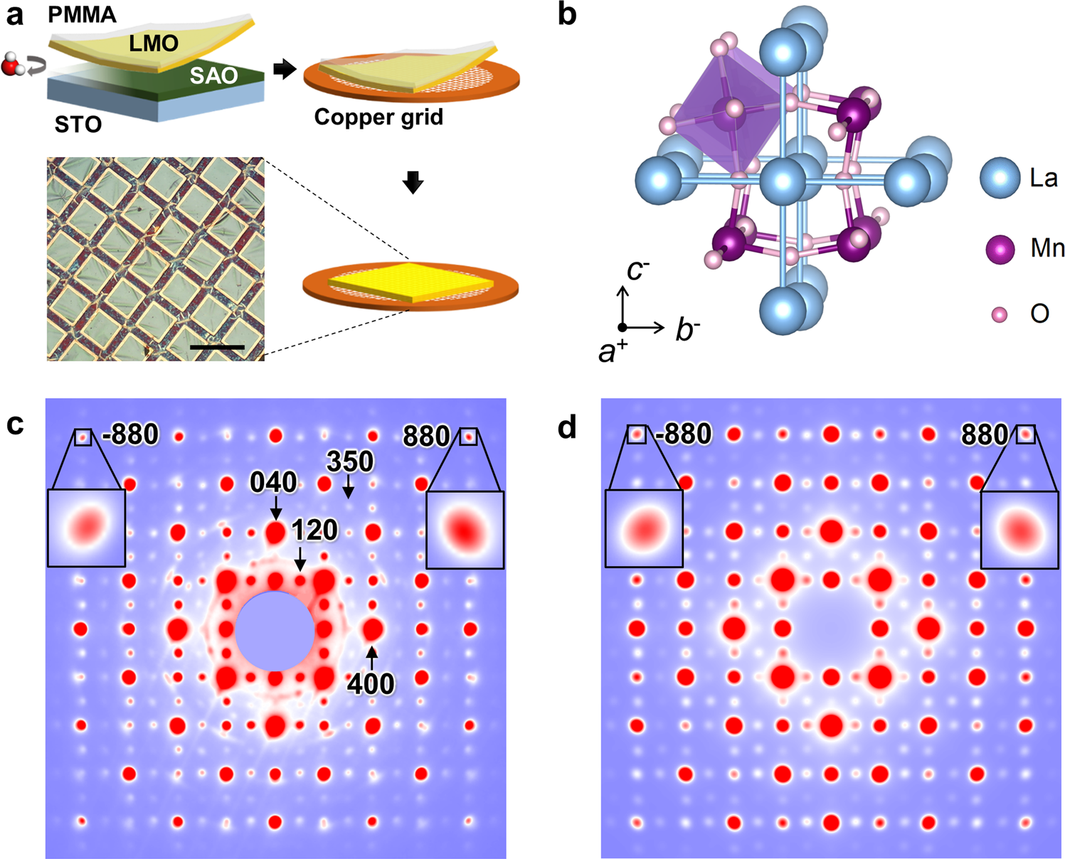 Fig. 1: Freestanding LaMnO3 film and its lattice dynamics measured by MeV-UED.