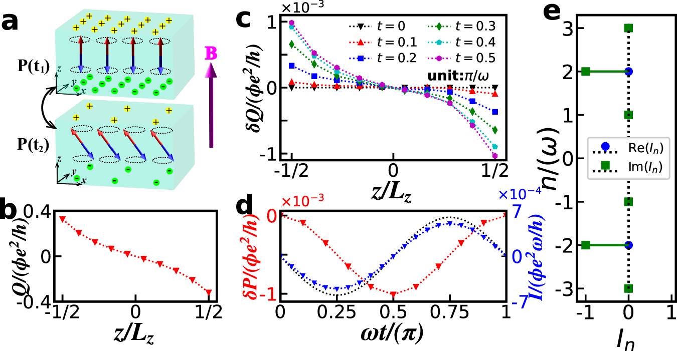 Fig. 2: Doubled magnetoelectric current in DAI.