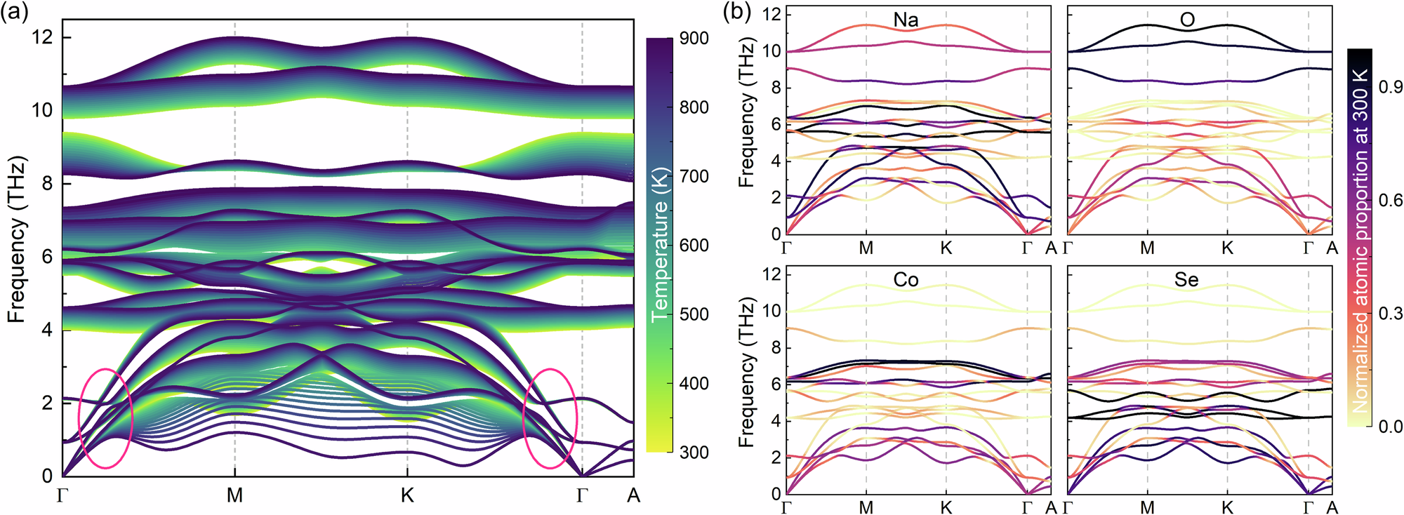 Fig. 2: Phonon dispersion of Na2CoSe2O.