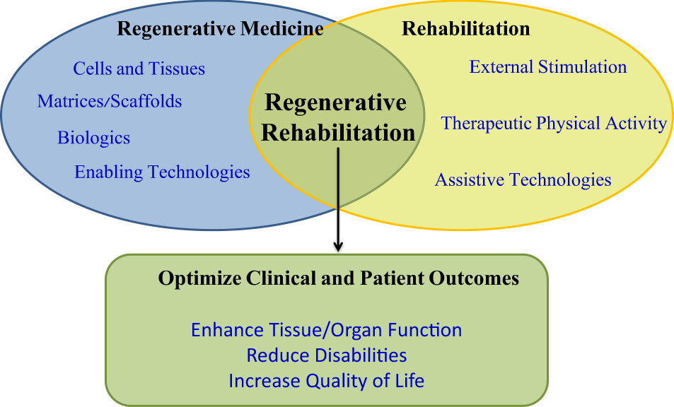 The convergence of regenerative medicine and rehabilitation: federal  perspectives - npj Regenerative Medicine