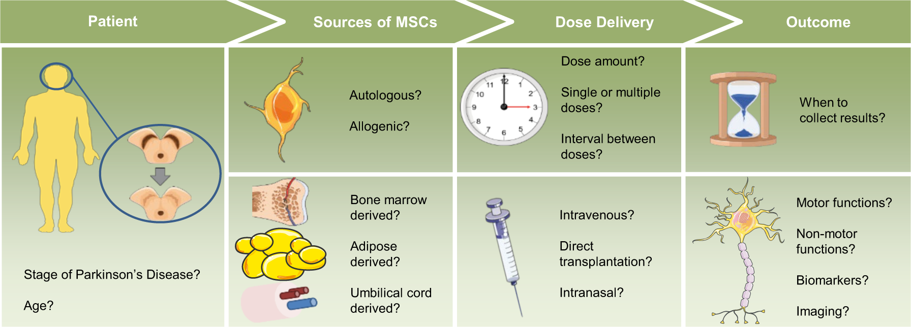 Challenges And Translational Considerations Of Mesenchymal Stem Stromal Cell Therapy For Parkinson S Disease Npj Regenerative Medicine Challenges And Translational Considerations Of Mesenchymal Stem Stromal Cell Therapy For Parkinson S Disease Npj Regenerative Medicine