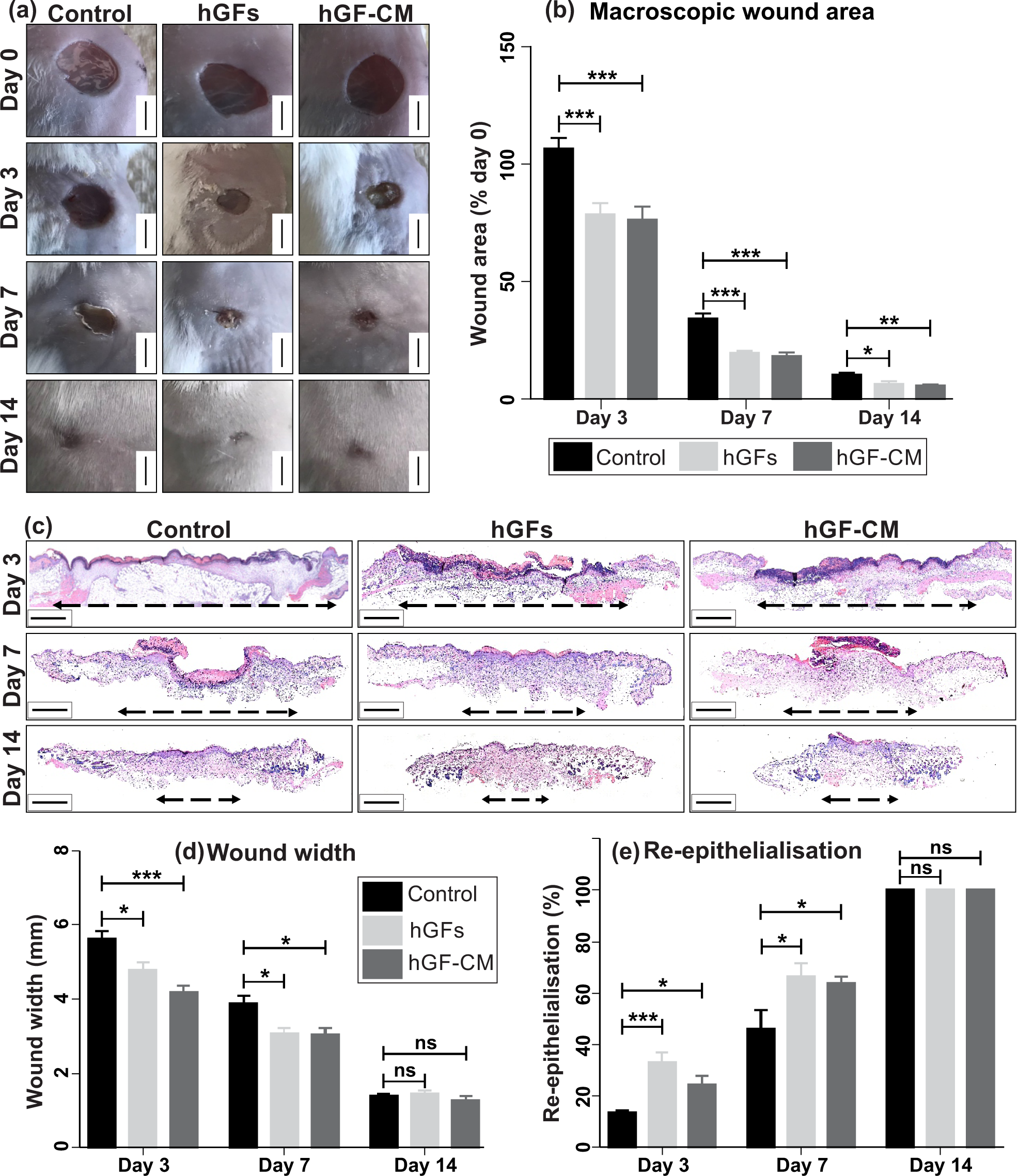 protect sofa from cat scratching