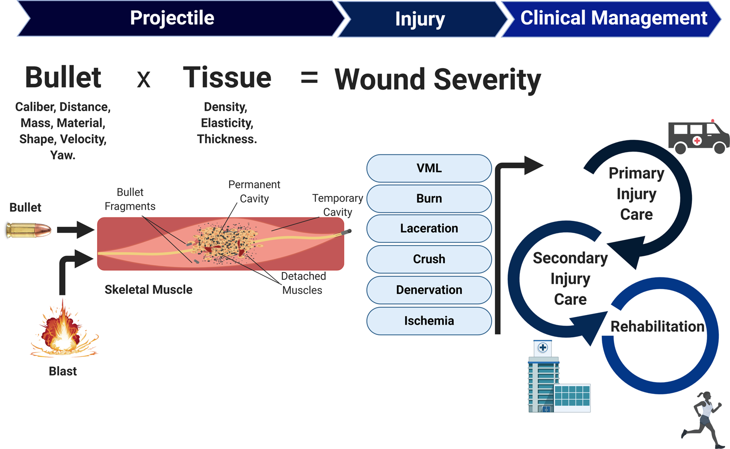 Firearms-Related Skeletal Muscle Trauma: Pathophysiology And Novel  Approaches For Regeneration | Npj Regenerative Medicine Firearms-Related Skeletal Muscle Trauma: Pathophysiology And Novel  Approaches For Regeneration | Npj Regenerative Medicine