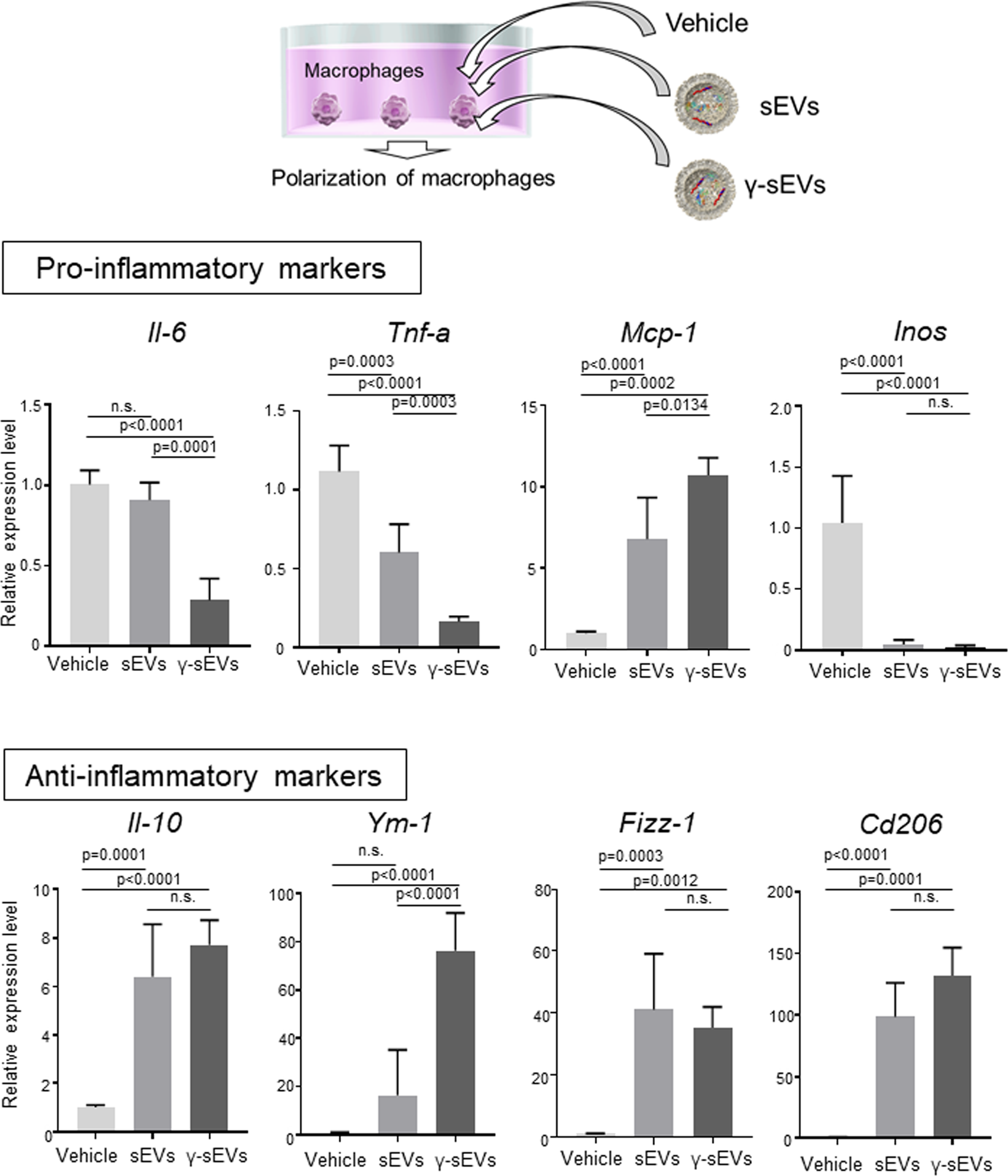 In Vivo Real-Time Imaging of Extracellular Vesicles in Liver