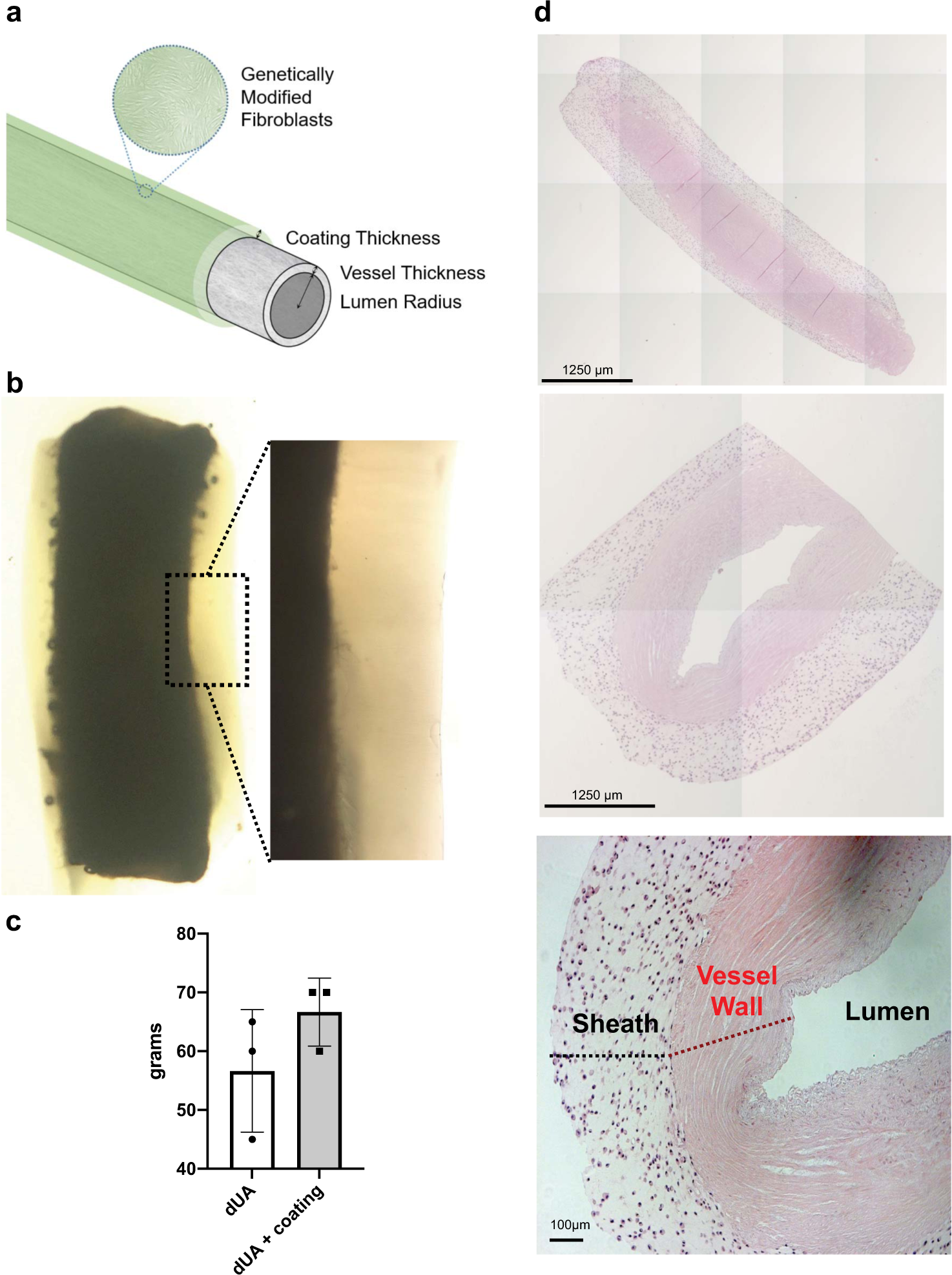 Fig. 2: TVC design and creation.