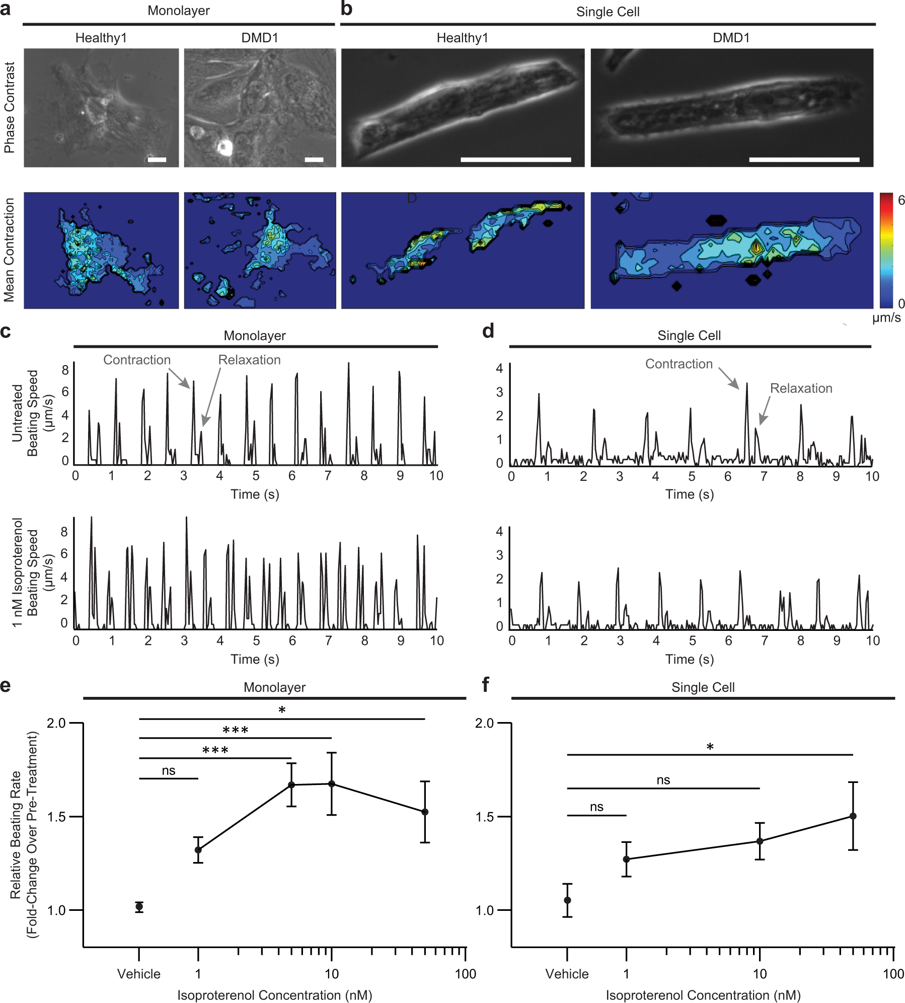 Fig. 3: Video analysis software captures responses to pharmacological stimulation.