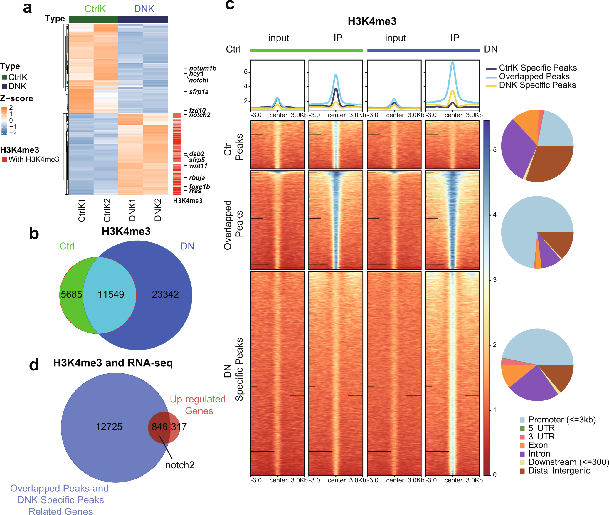 Fig. 2: Endothelium-specific inhibition of Brg1 changes the levels of H3K4me3 in the promoter regions of the zebrafish genome.