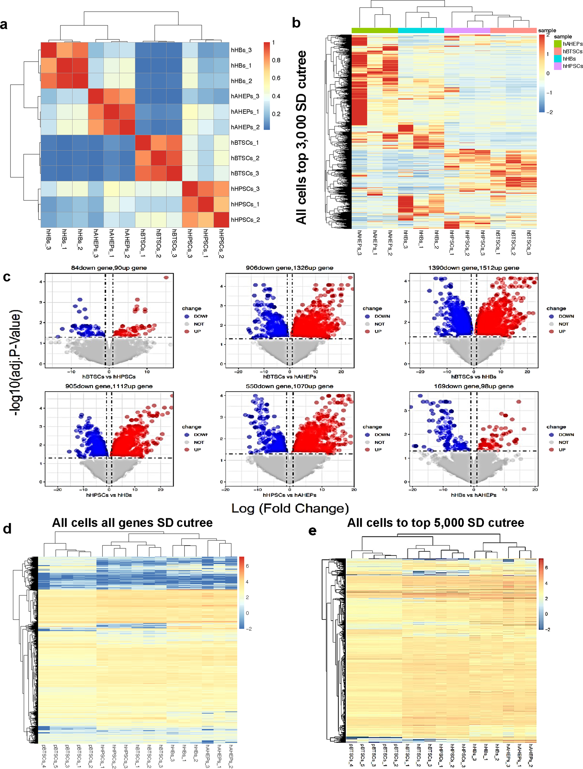 Fig. 2: Genetic signature studies reveal similarities in porcine and human biliary tree stem cells.