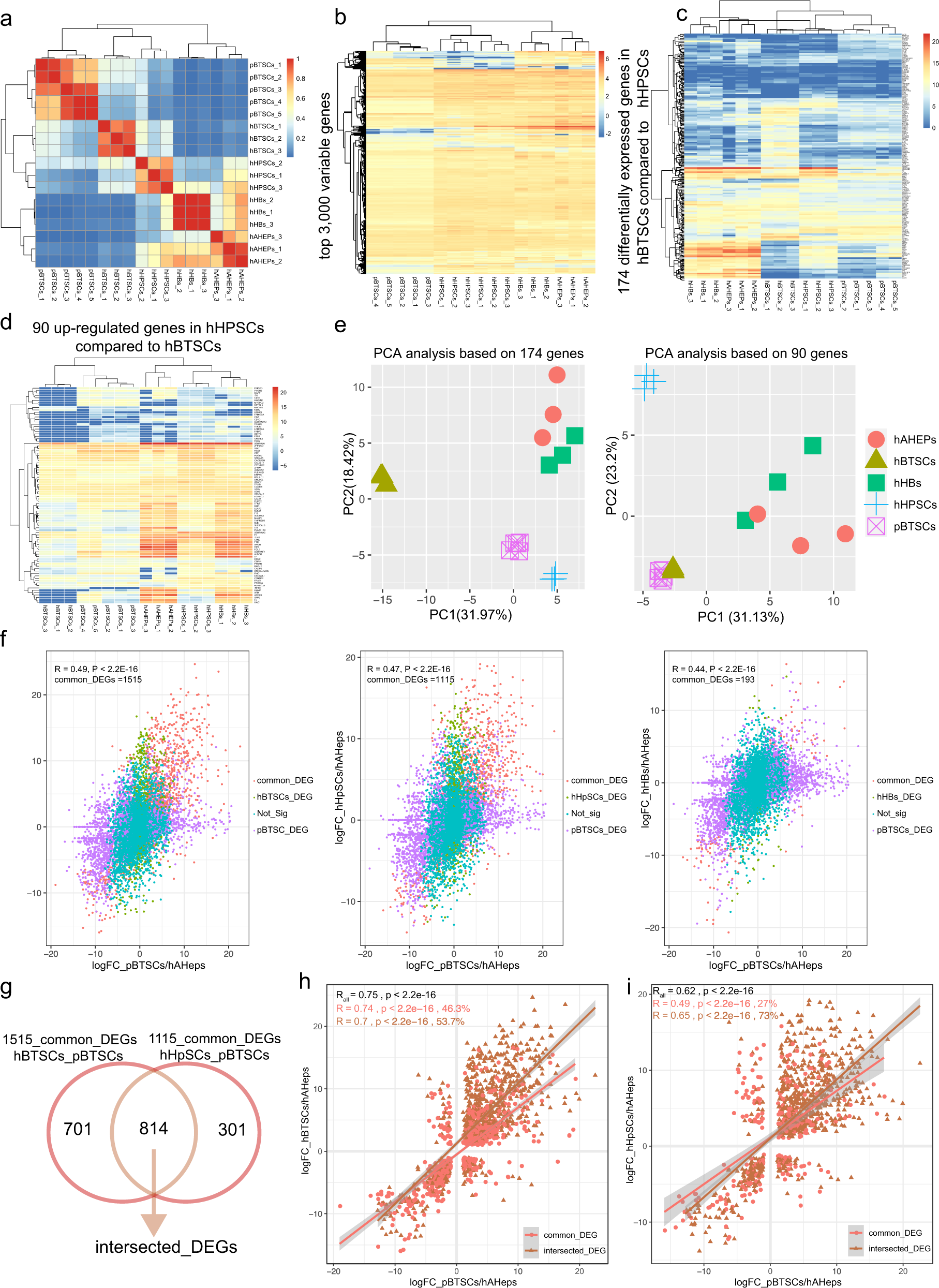 Fig. 3: Genetic signature studies reveal similarities in porcine and human biliary tree stem cells.