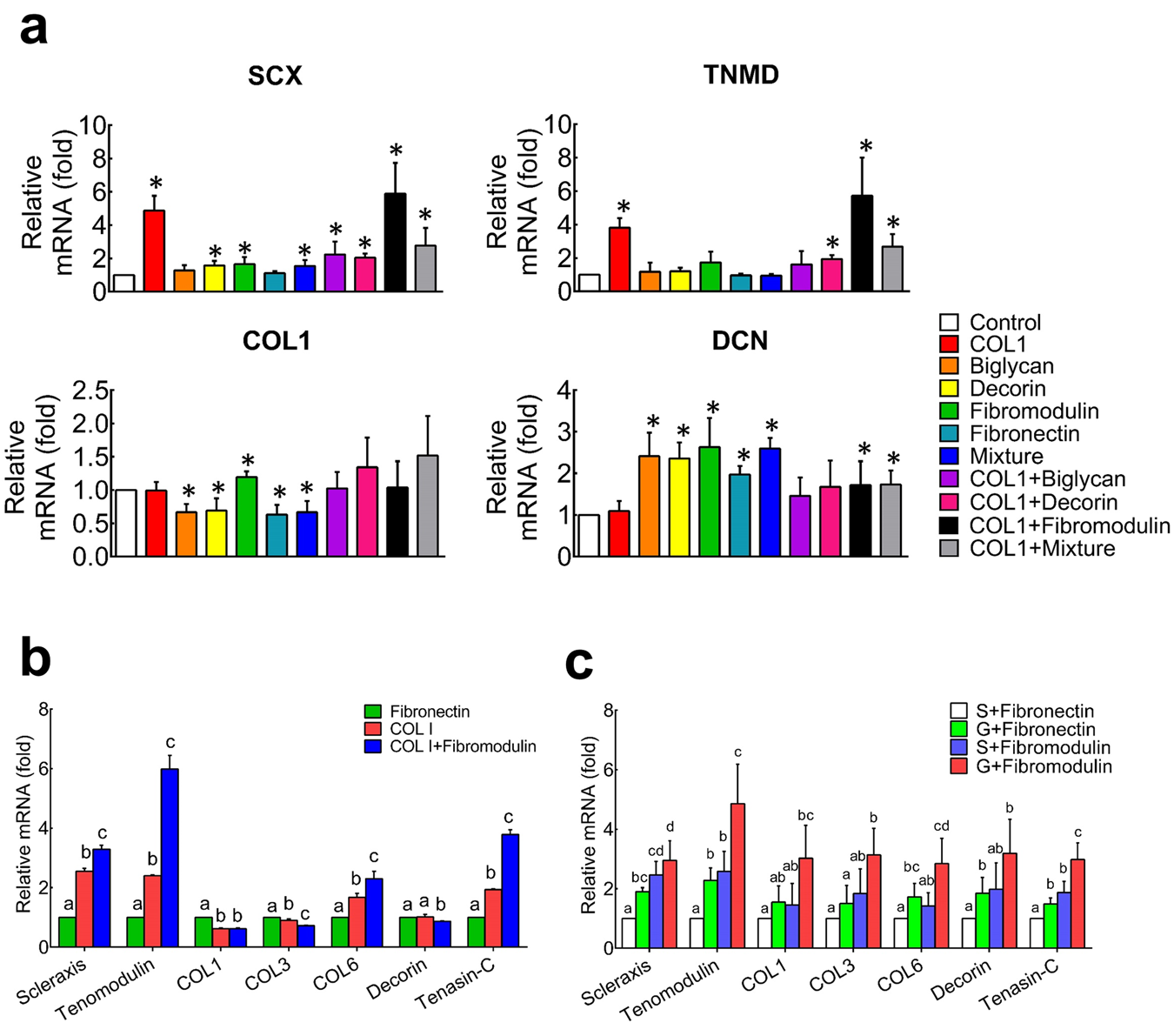 Fig. 2: The hASCs expressed higher levels of tenogenic genes on substrates coated with collagen I and fibromodulin.