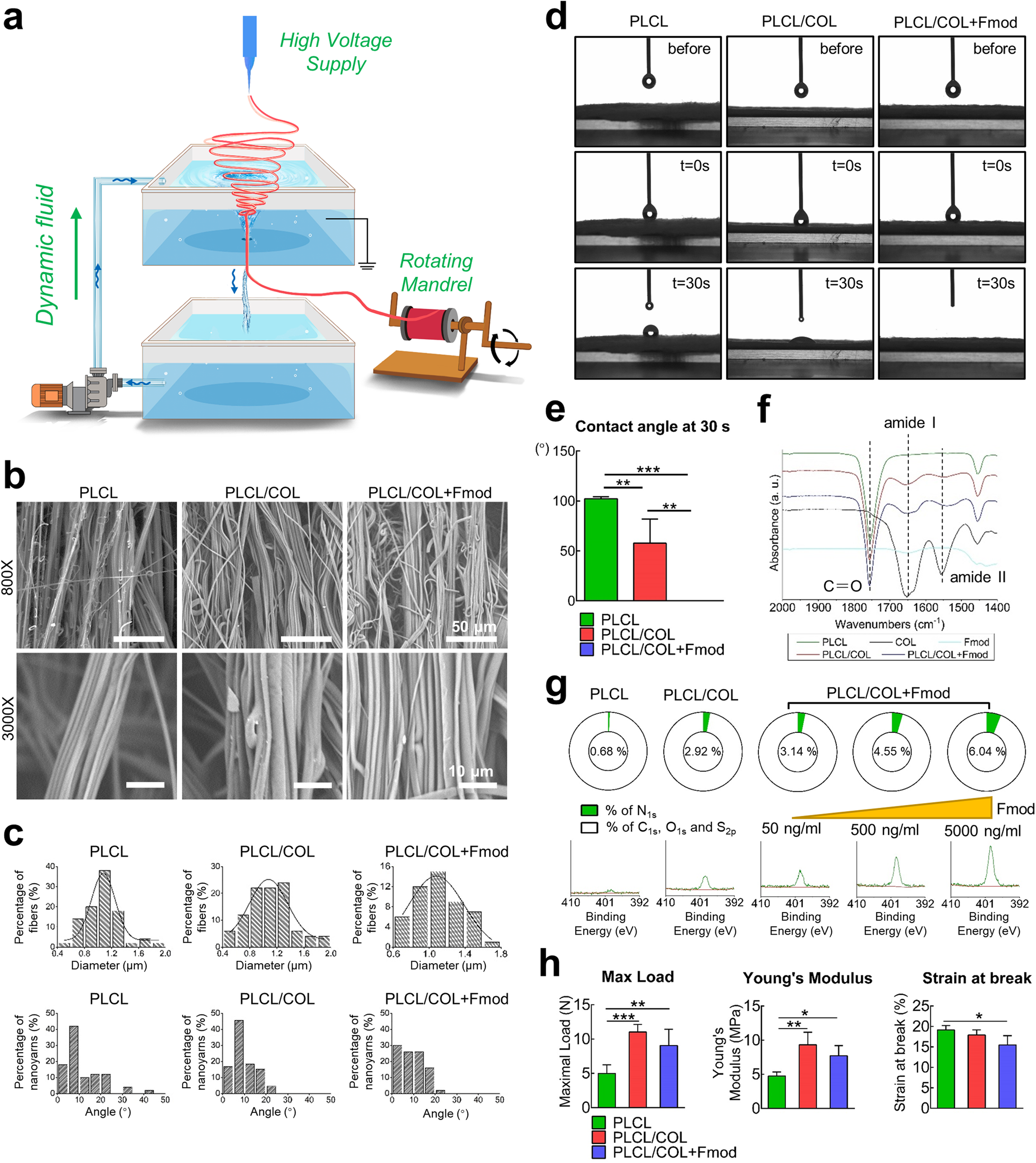 Fig. 3: Fabrication and characterization of electrospun nanoyarn scaffold.
