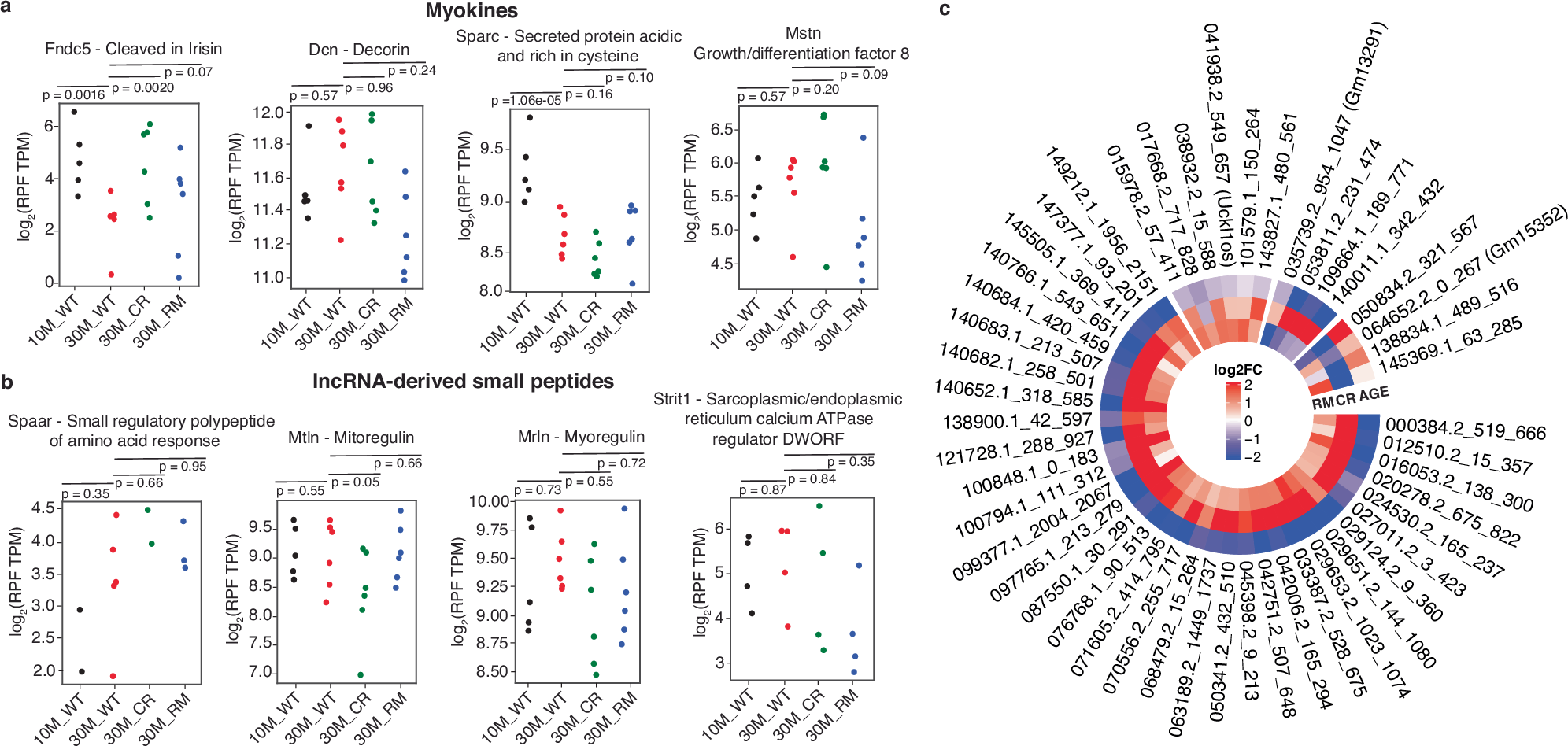 Fig. 6: Expression of small, muscle-specific peptides across conditions.