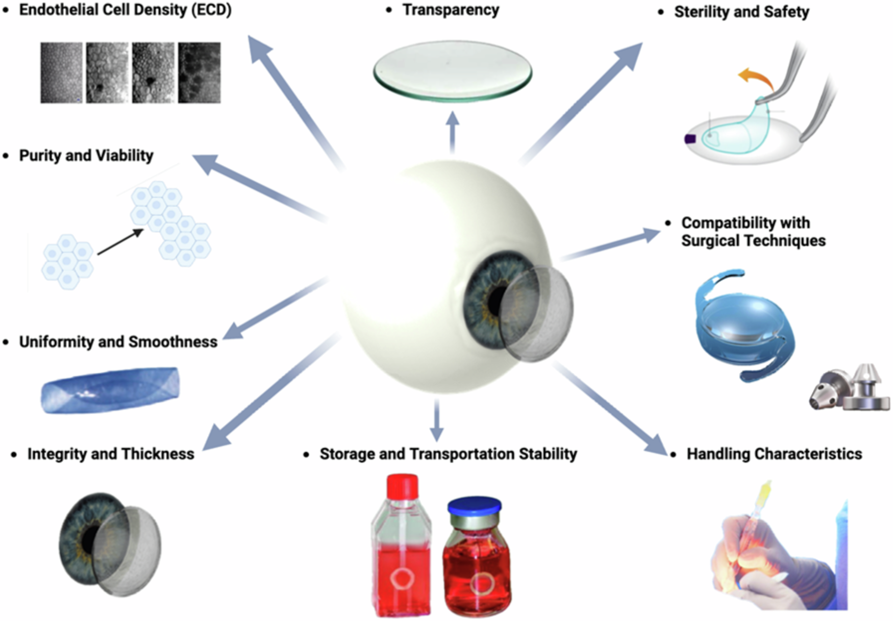 Fig. 7: Schematic overview of the requirements for Descemet Membrane Endothelial Keratoplasty (DMEK).