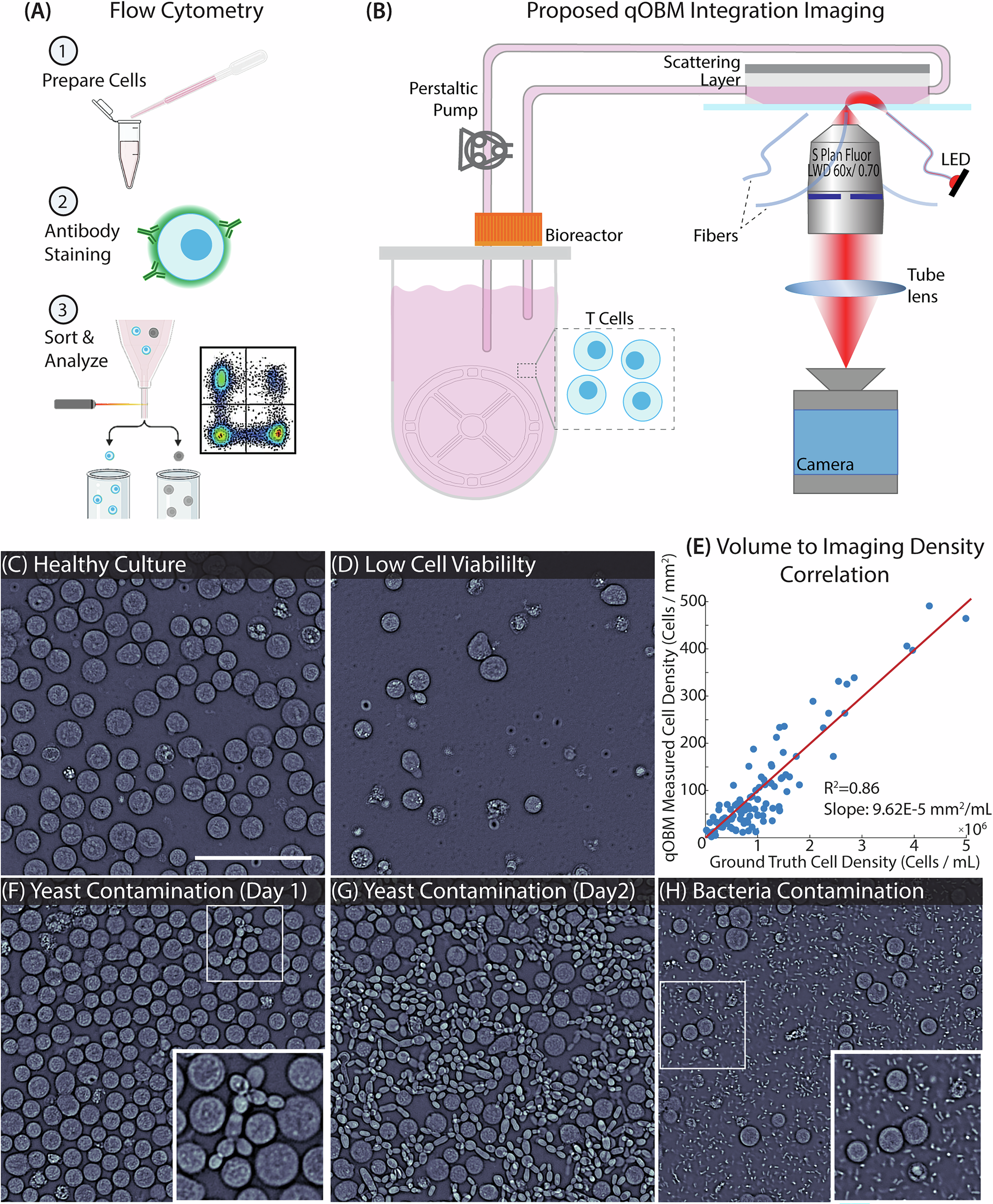 Fig. 1: qOBM enables visualization of cells growing inside a bioreactor.