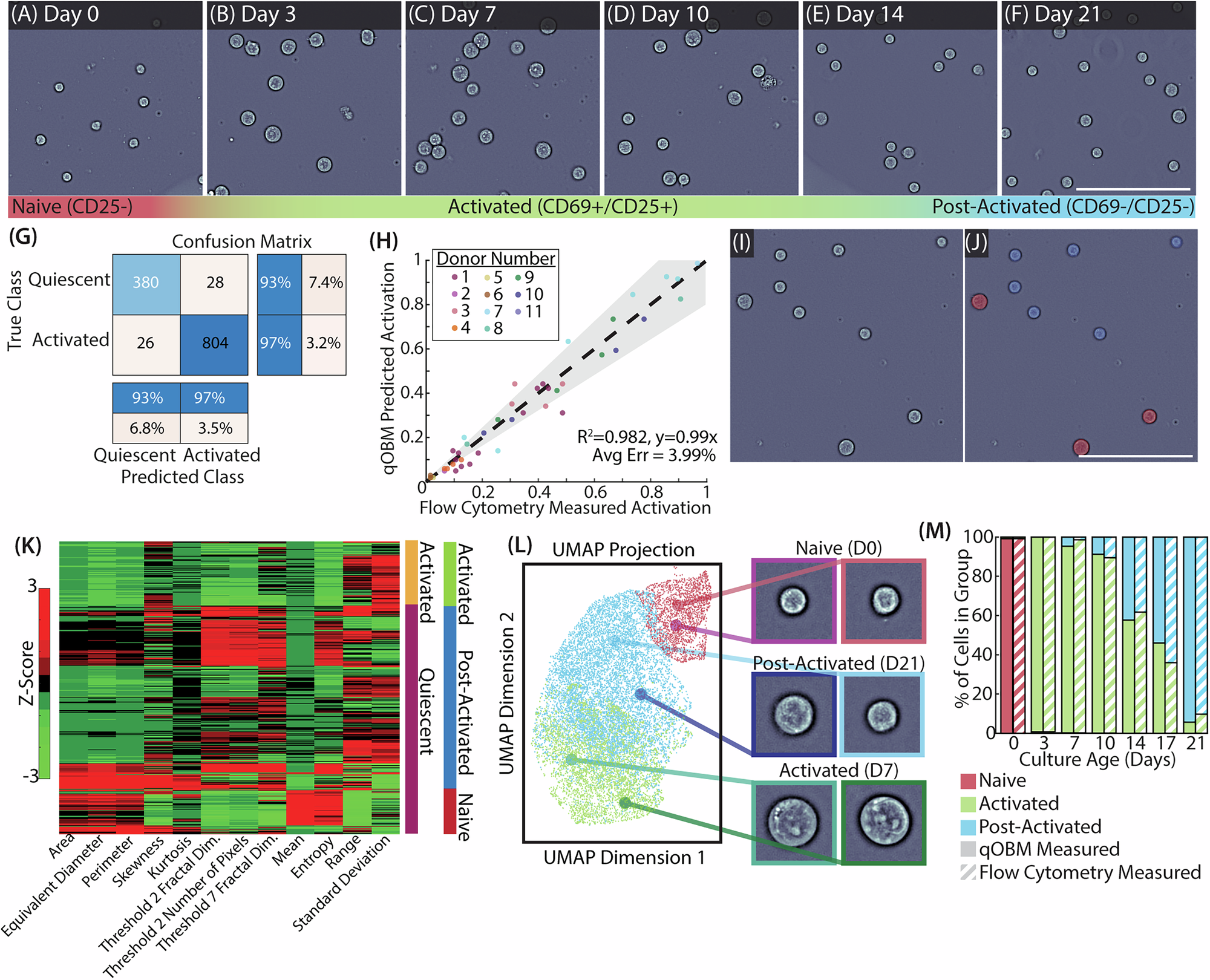 Fig. 3: Quantification of culture activation.