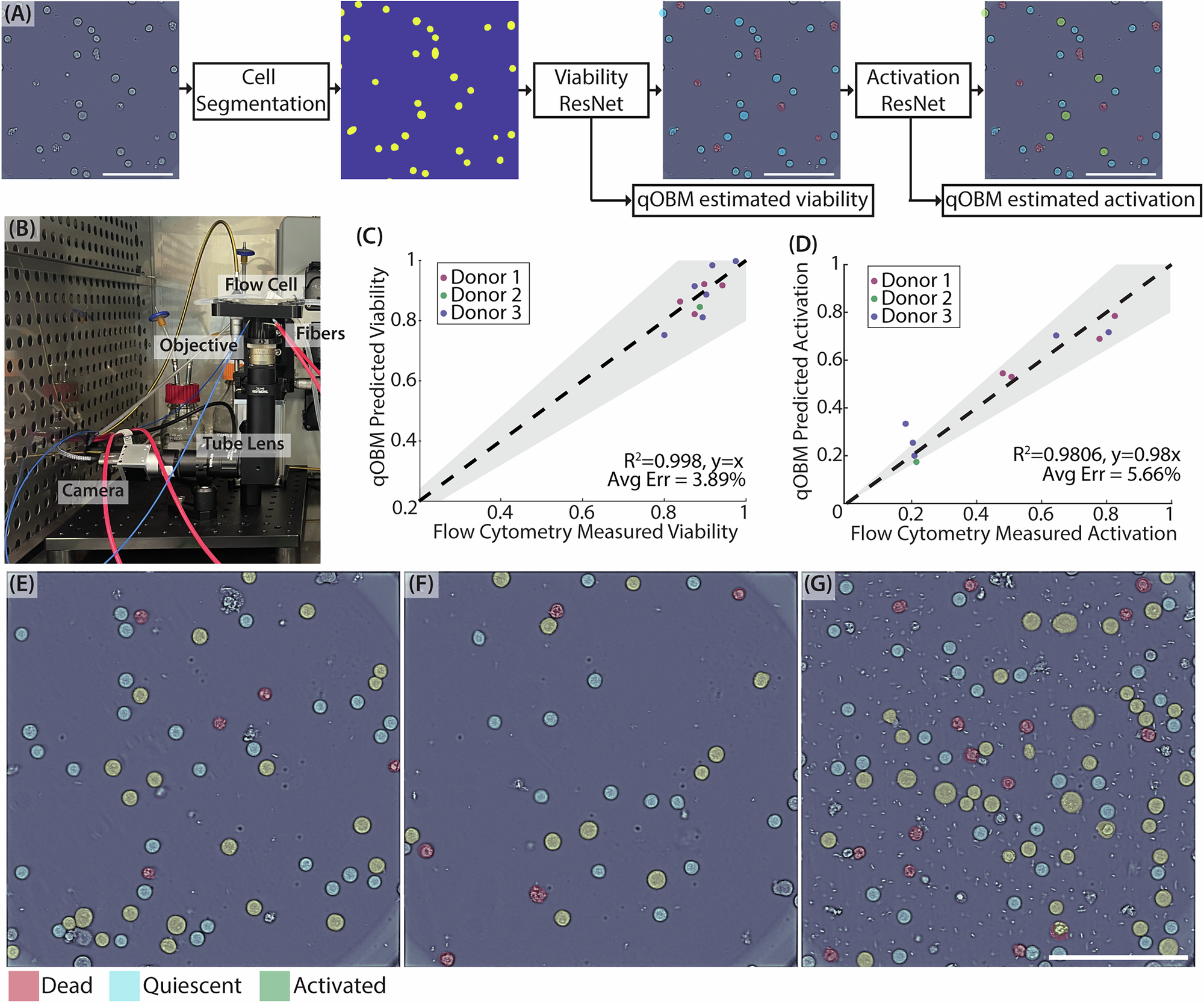 Fig. 4: Characterization of T cell cultures in-line.