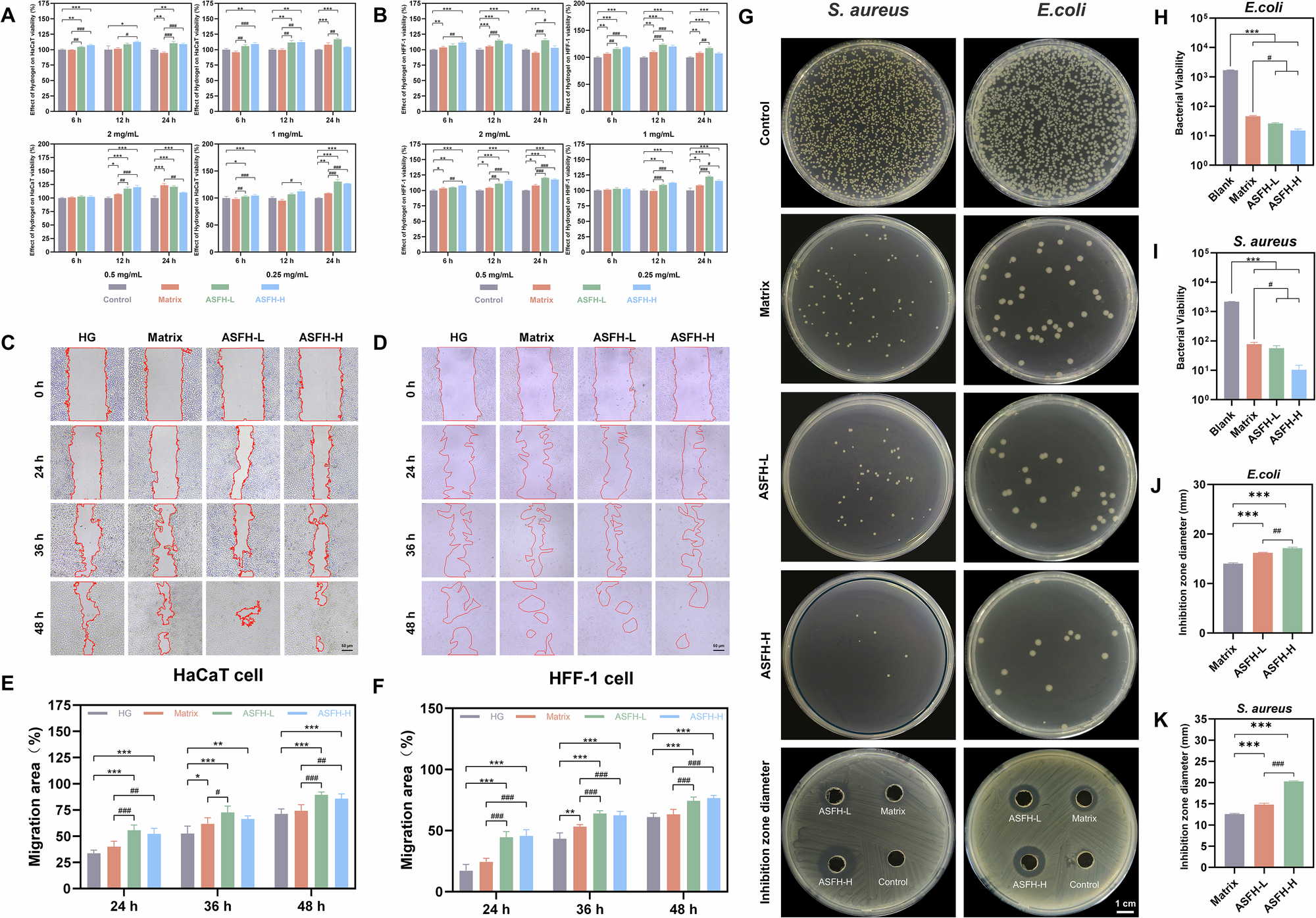 Fig. 3: Cytotoxicity and antibacterial activity of hydrogels.