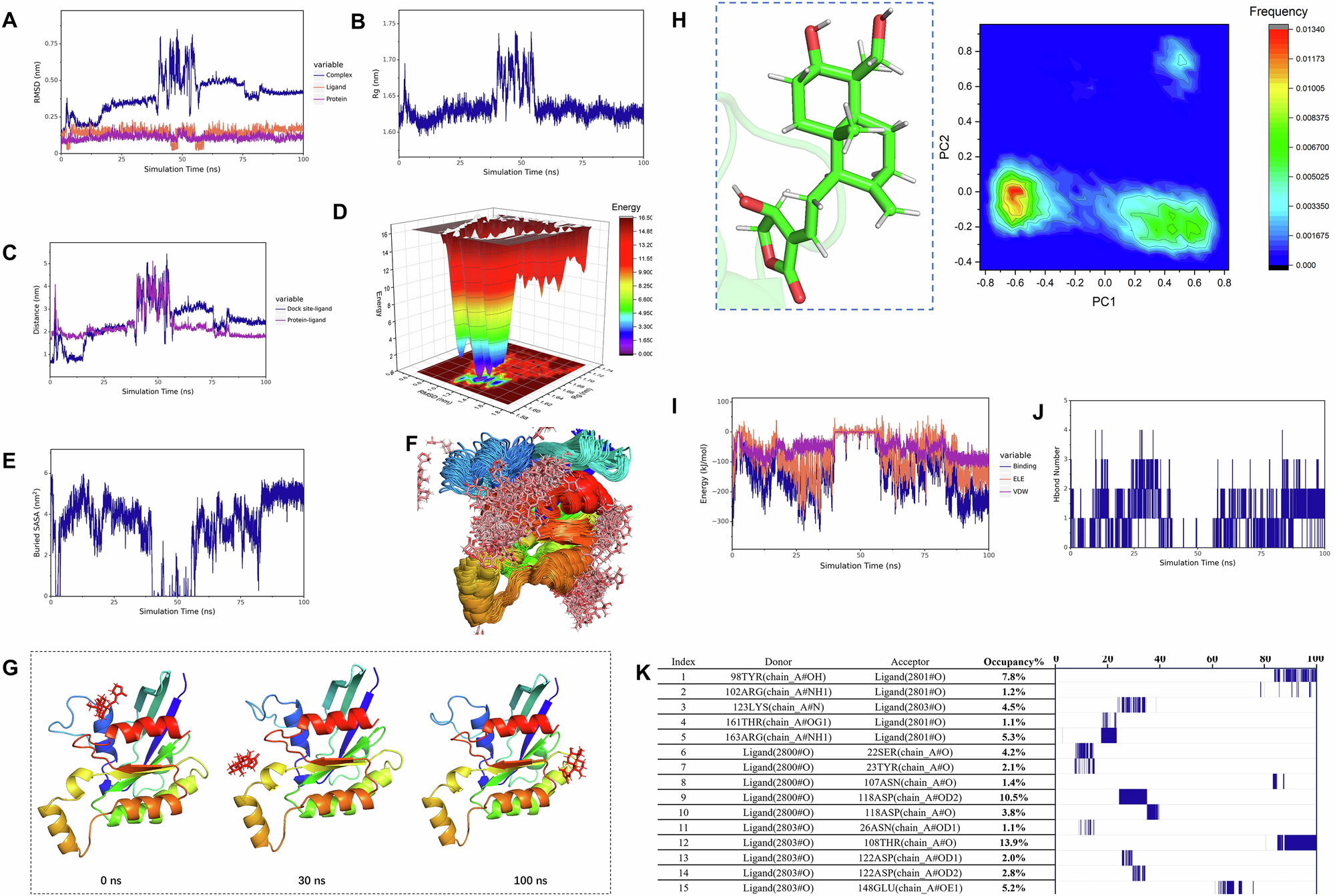 Fig. 5: MD simulations of Andro-Rac1.