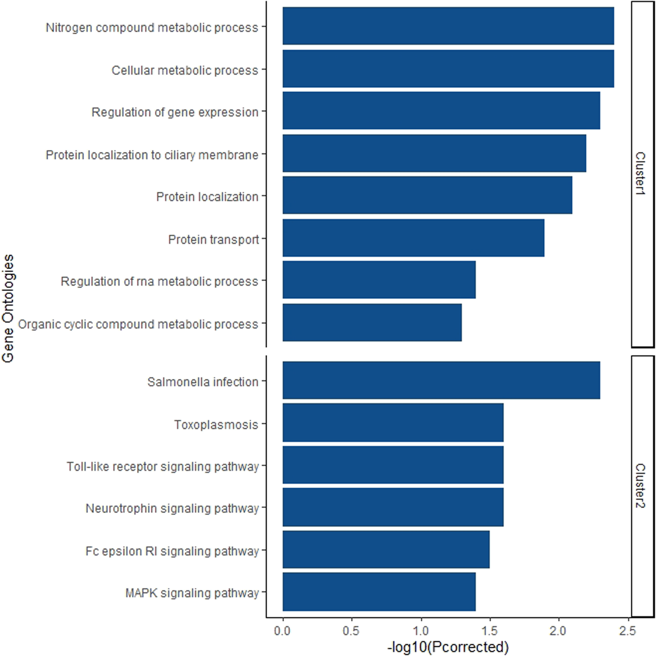 Fig. 2: Gene-set enrichment analysis (Gene Ontology Biological Process) of each Cluster.