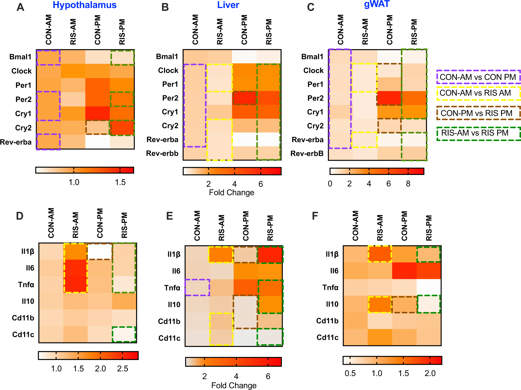 Fig. 2: Effect of the timing of RIS dosing on circadian gene expression in the metabolic tissues.