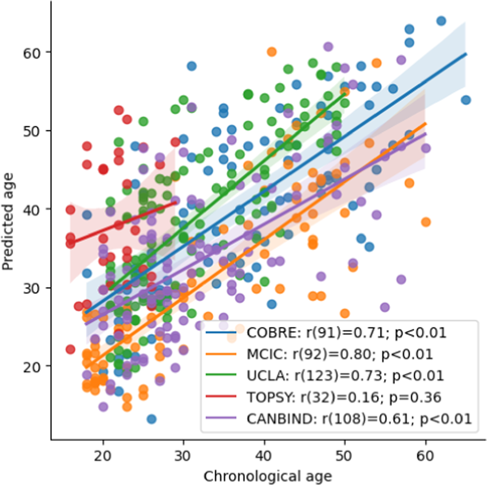 The Professional Brain Age Test