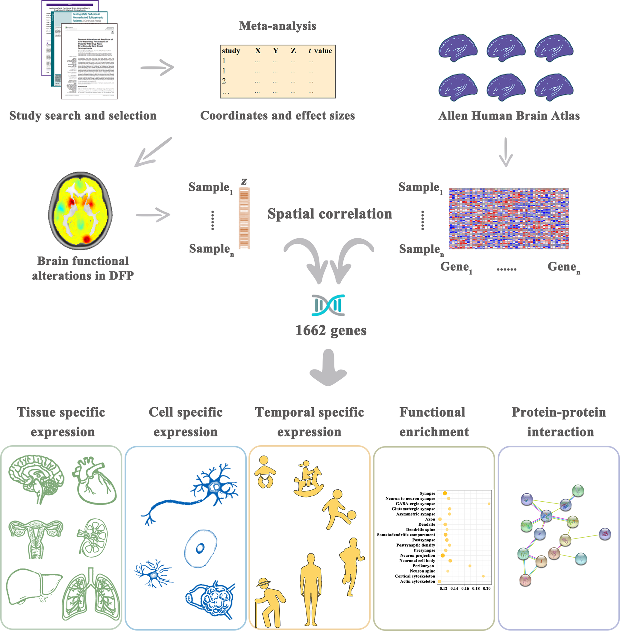 Fig. 1: A schematic summary of the analysis pipeline.