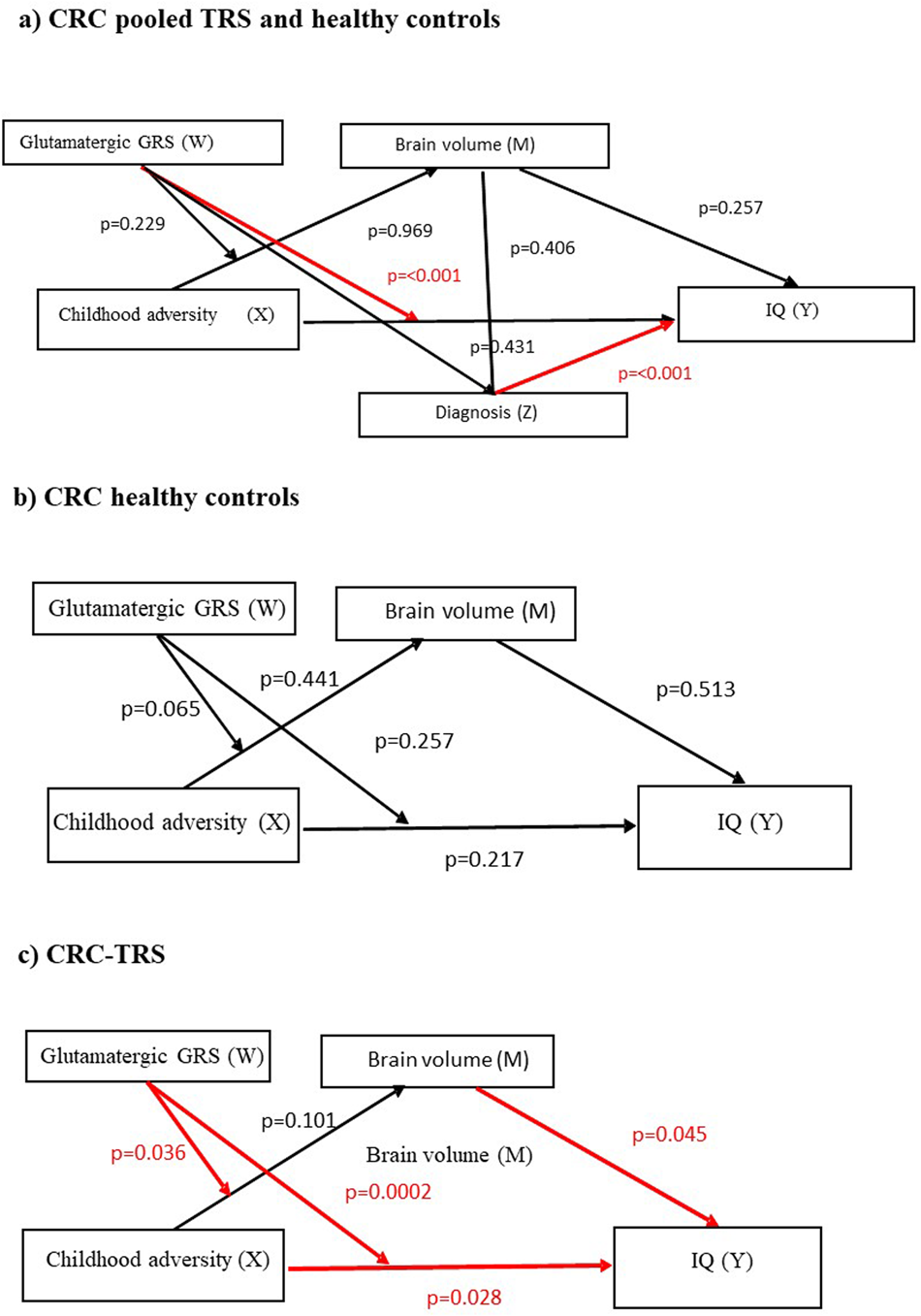 Fig. 2: Moderated-mediation analysis of the relationship between childhood adversity glutamatergic GRS, TBV and IQ.
