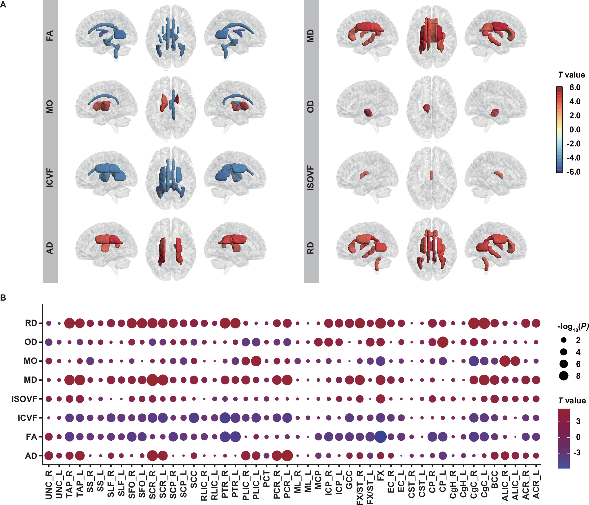 Fig. 1: Associations between PRSSCZ and brain white matter IDPs.