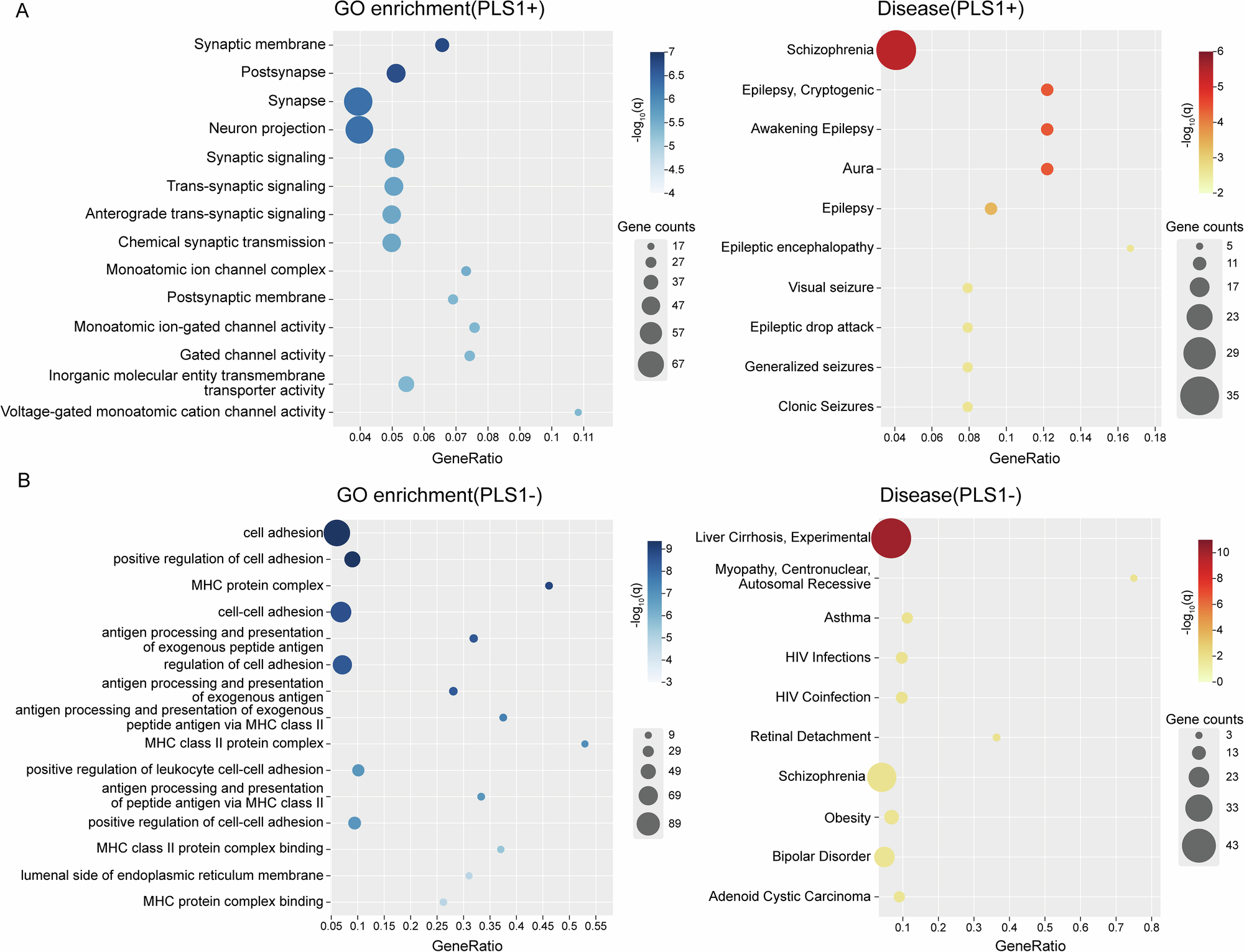 Fig. 6: Functional enrichment of the genes associated with changes of MSD.