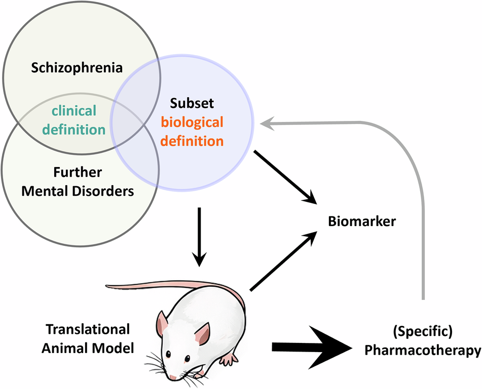 Fig. 1: Reverse-translational precision psychiatry framework.