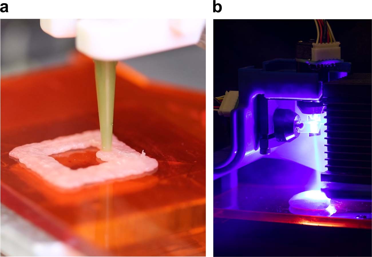 Precision cooking for printed foods via multiwavelength lasers | npj  Science of Food