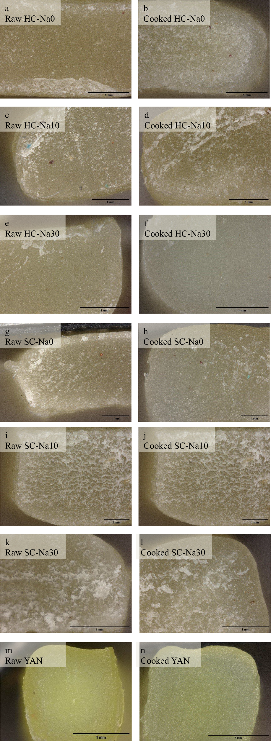 Fig. 1: Digital microscope images of noodle samples at 100× magnification consisting of raw and cooked HC, SC, and YAN noodles.
